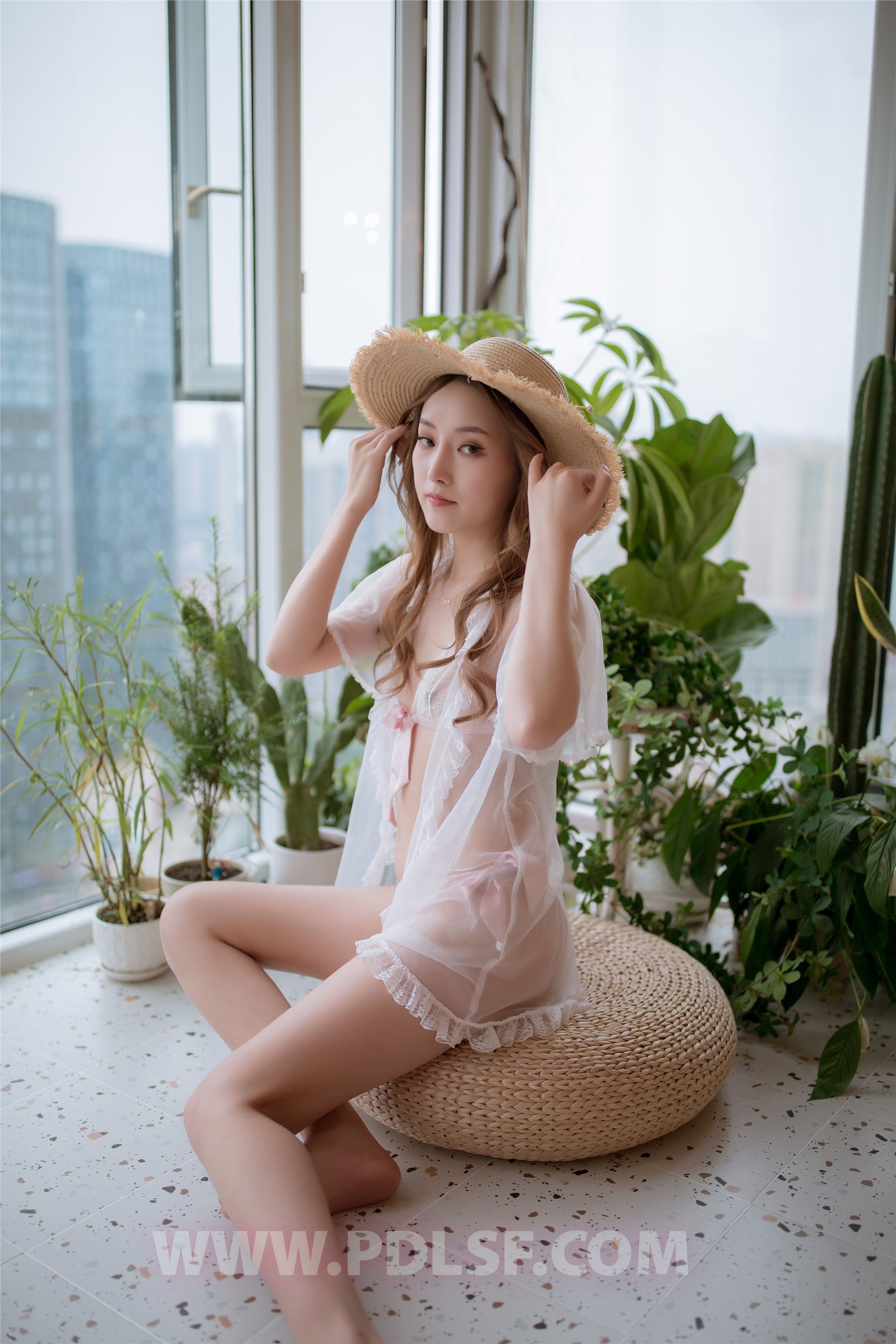 PDL潘多拉  2019.11.17 第487刊