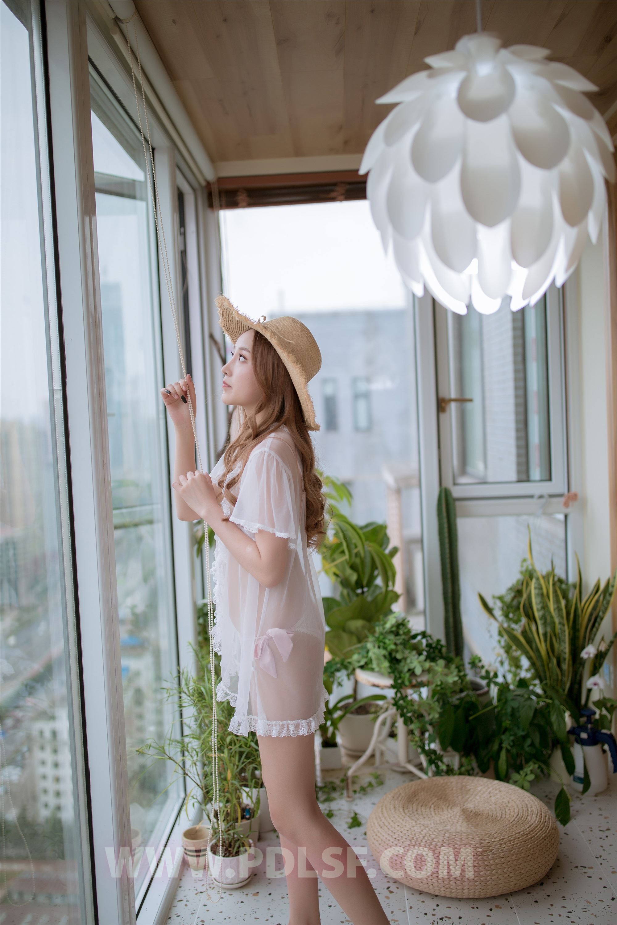 PDL潘多拉  2019.11.17 第487刊