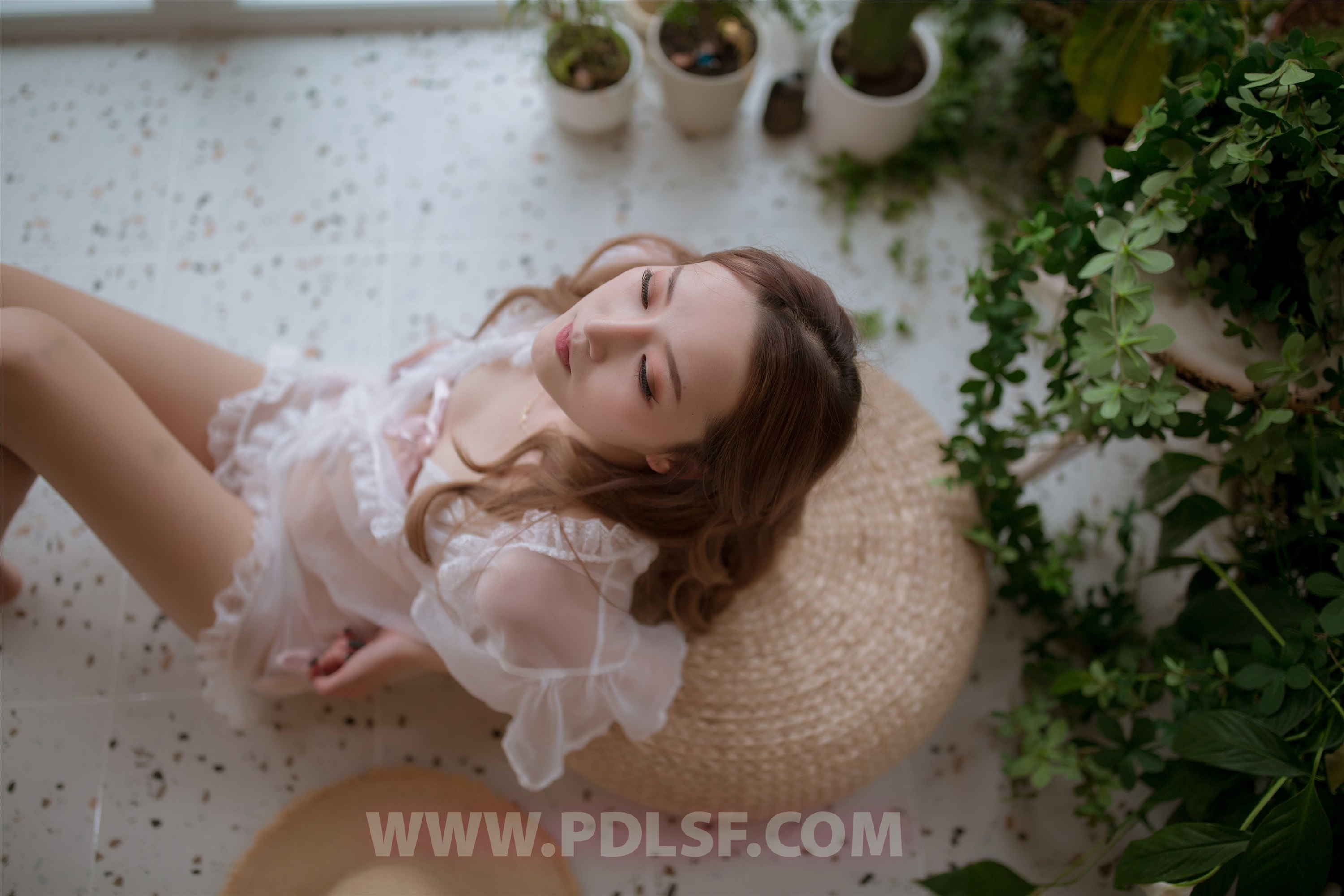 PDL潘多拉  2019.11.17 第487刊