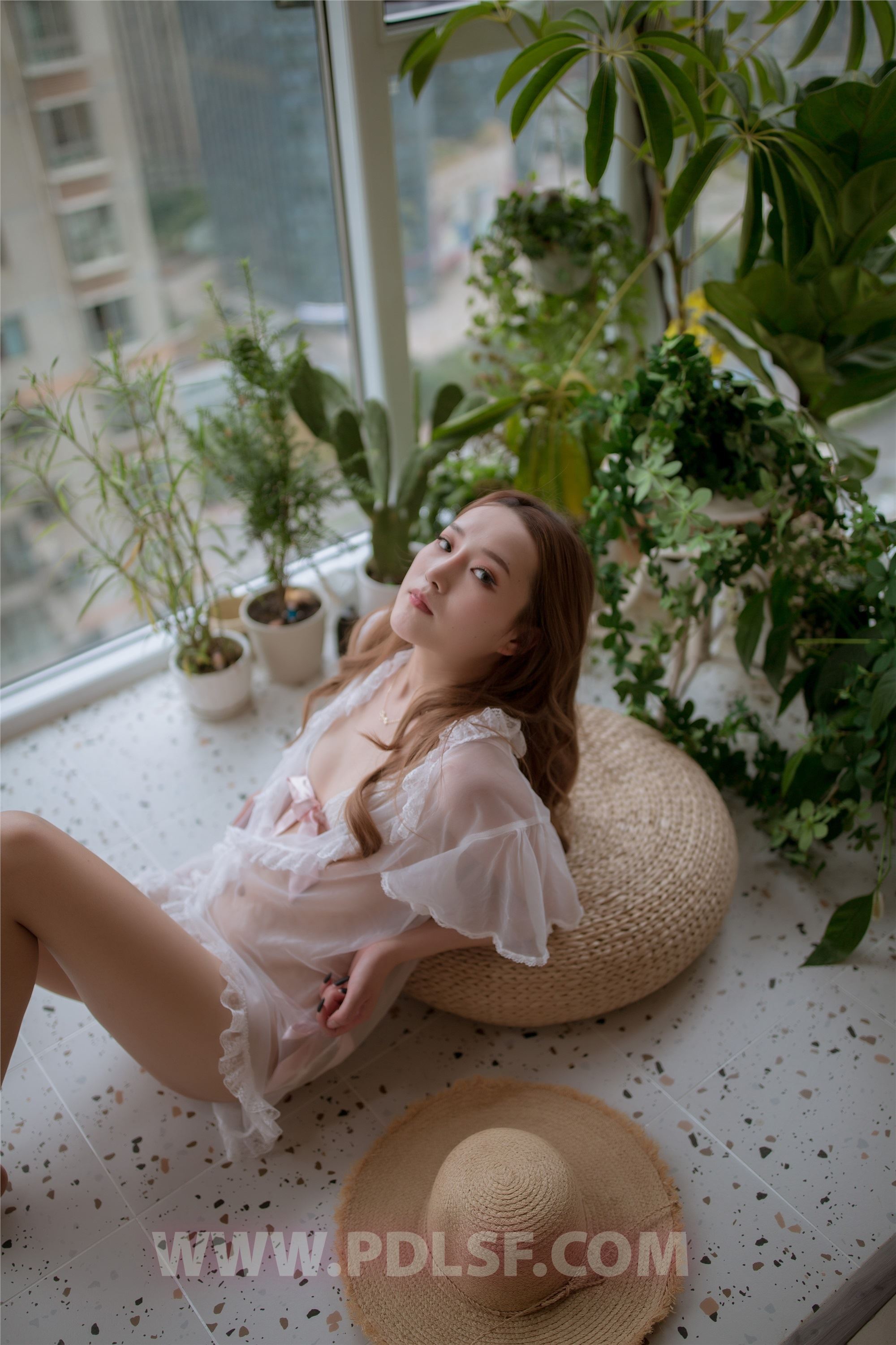 PDL潘多拉  2019.11.17 第487刊