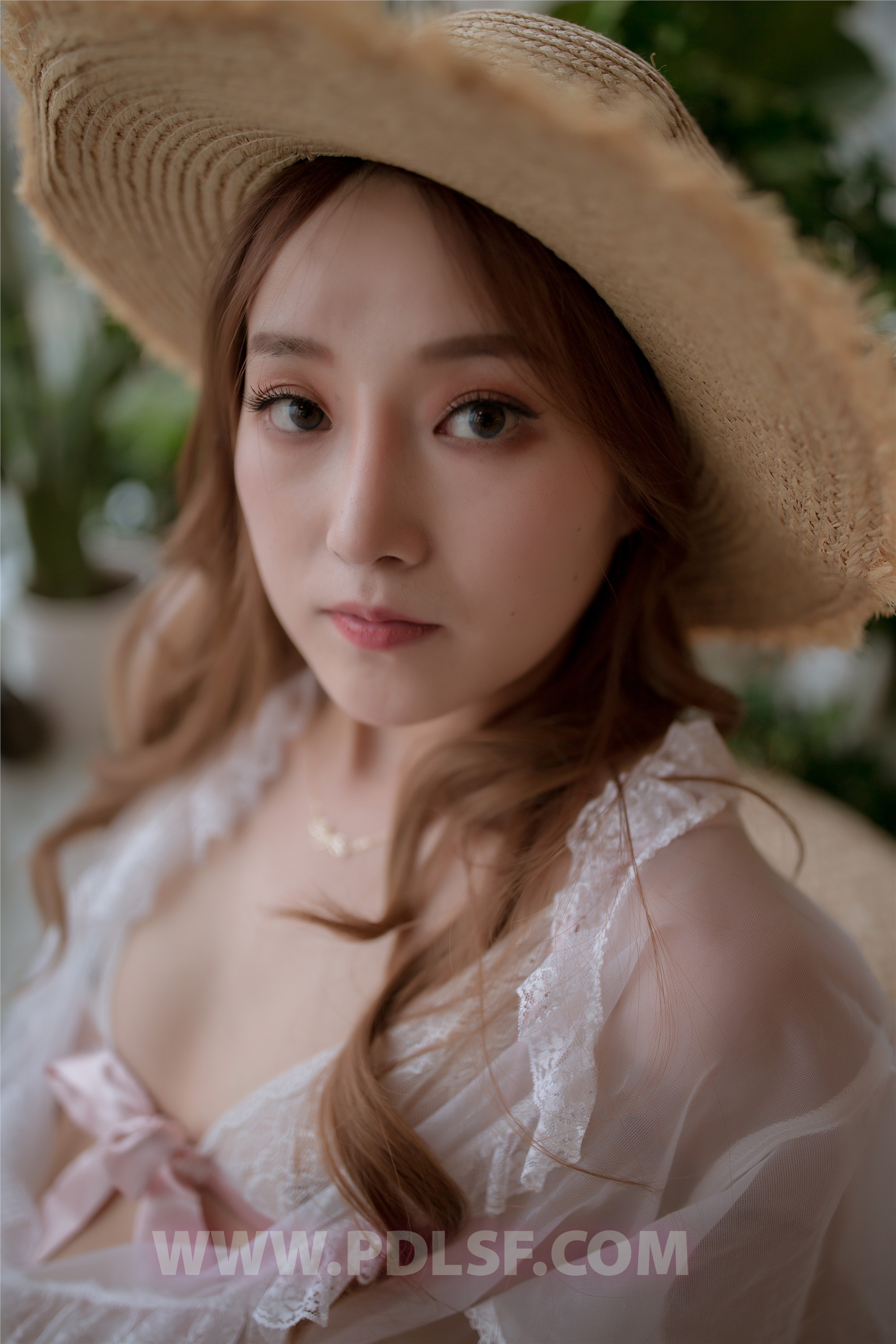 PDL潘多拉  2019.11.17 第487刊