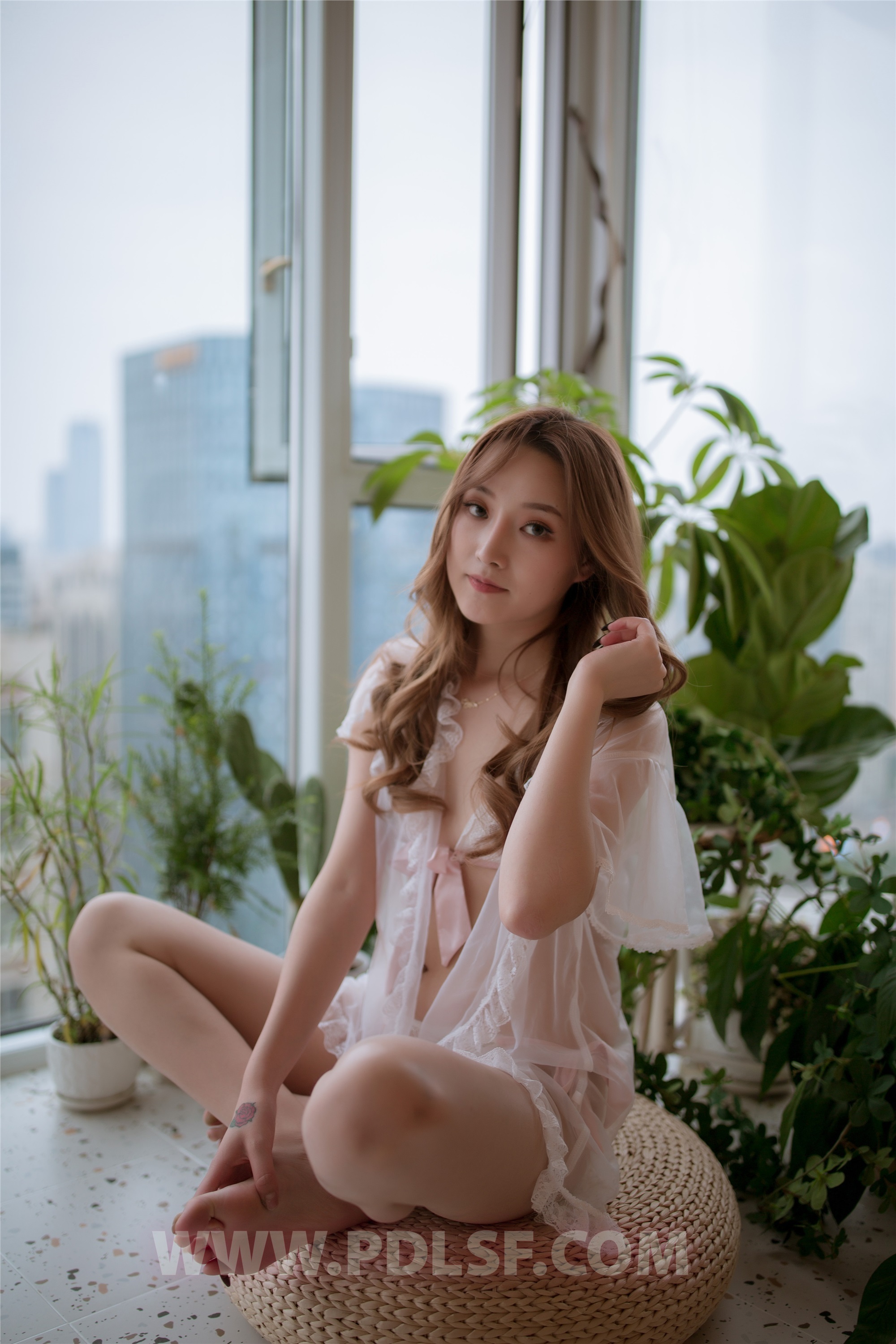 PDL潘多拉  2019.11.17 第487刊