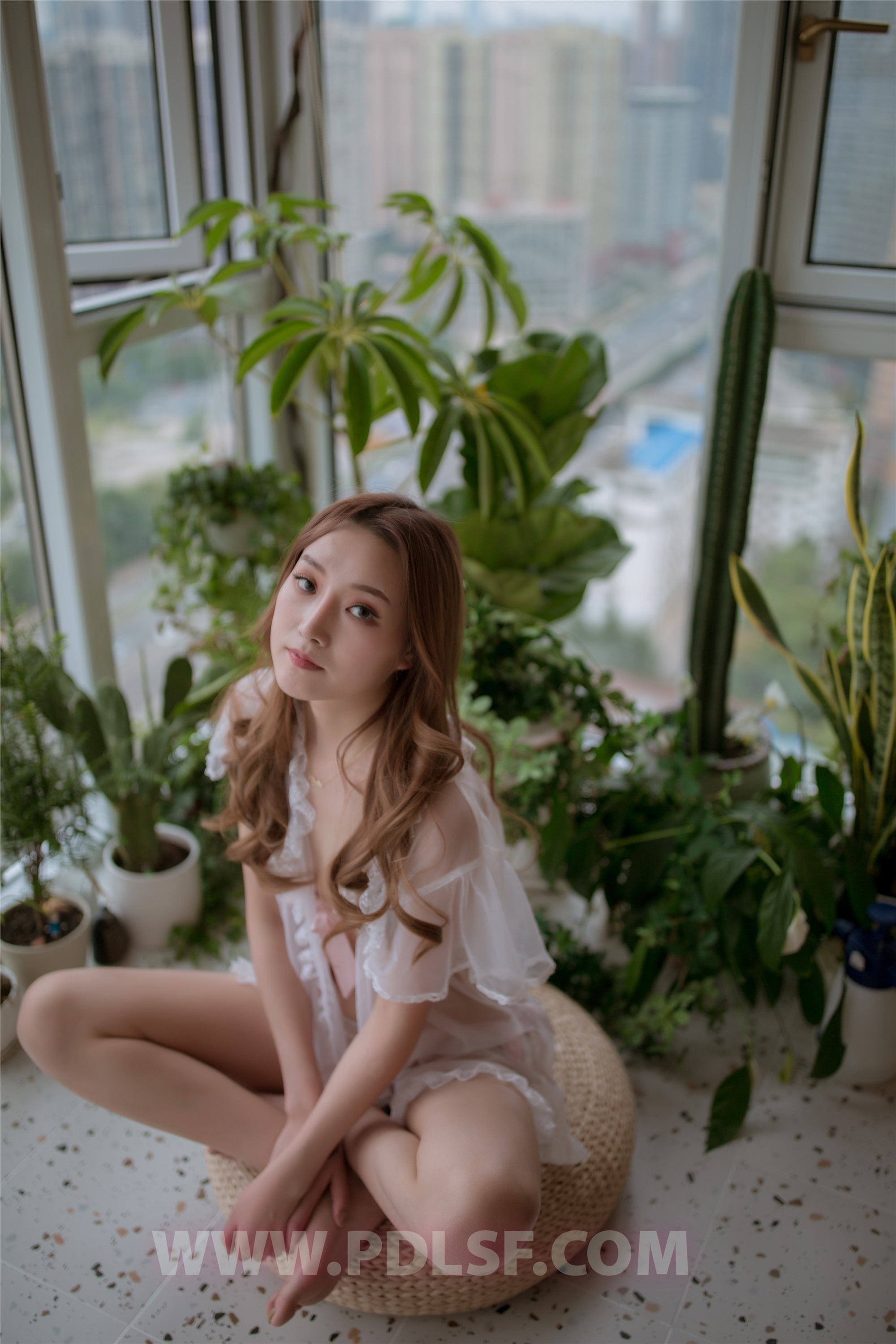 PDL潘多拉  2019.11.17 第487刊