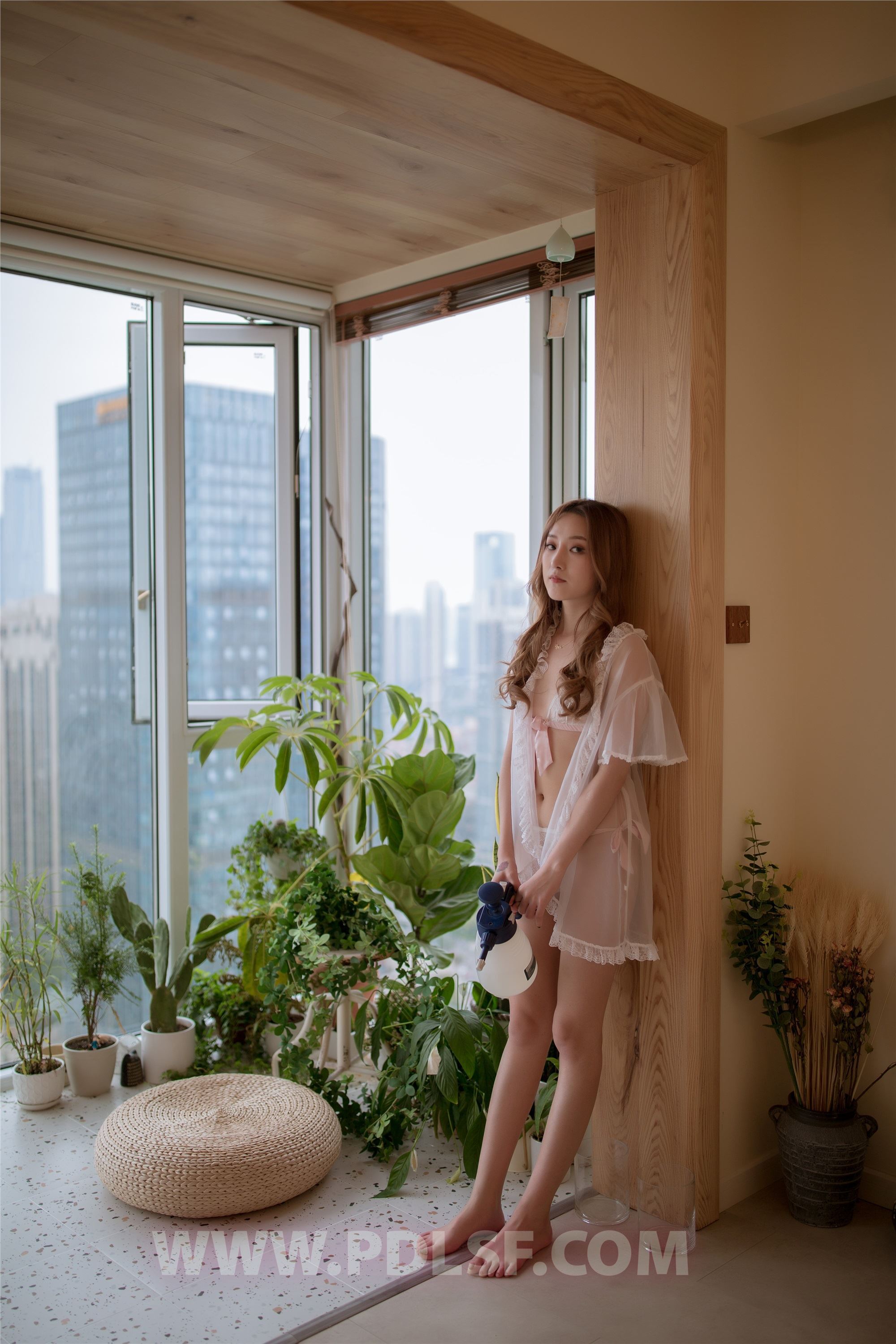 PDL潘多拉  2019.11.17 第487刊