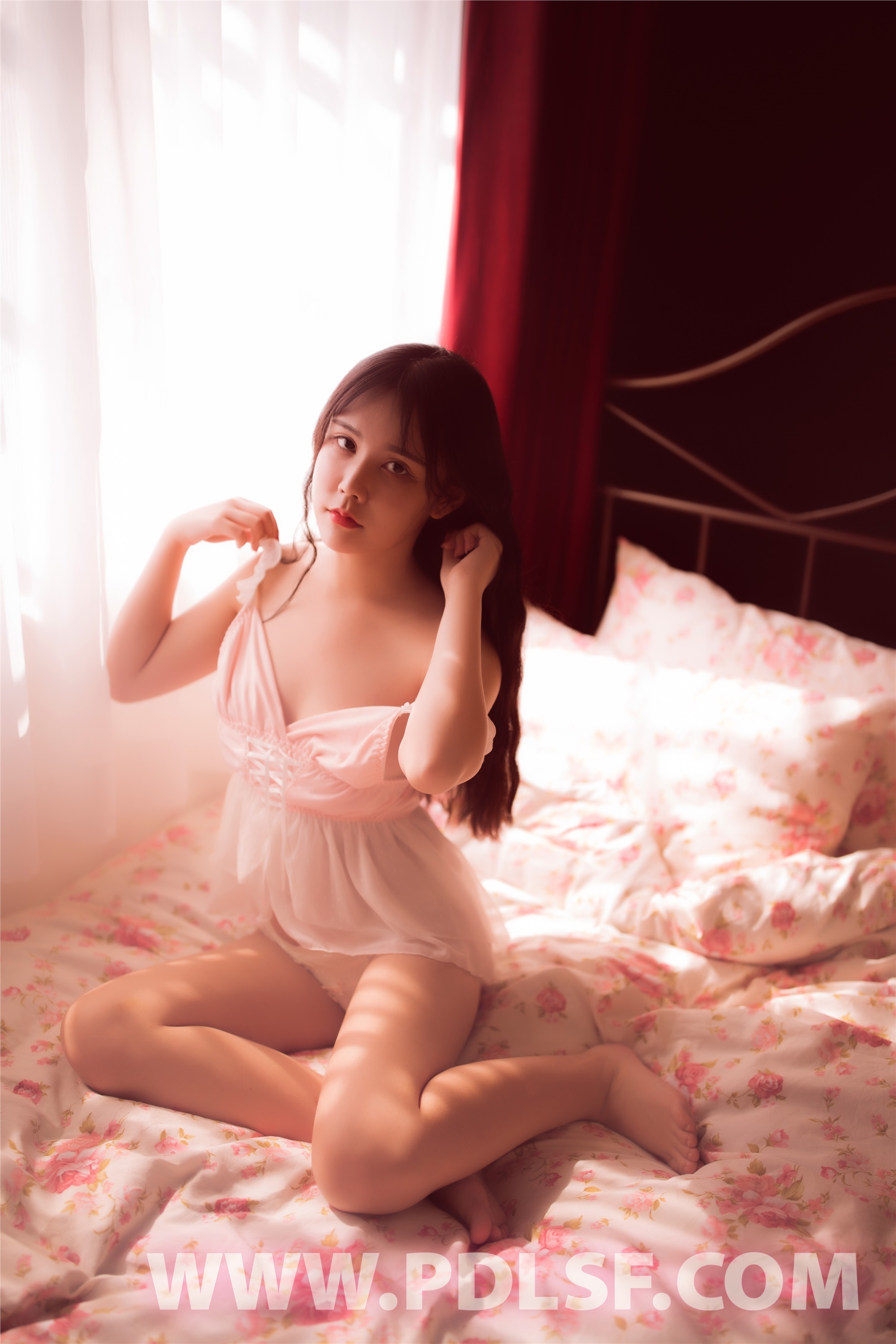 PDL潘多拉  2019.11.02 第481刊