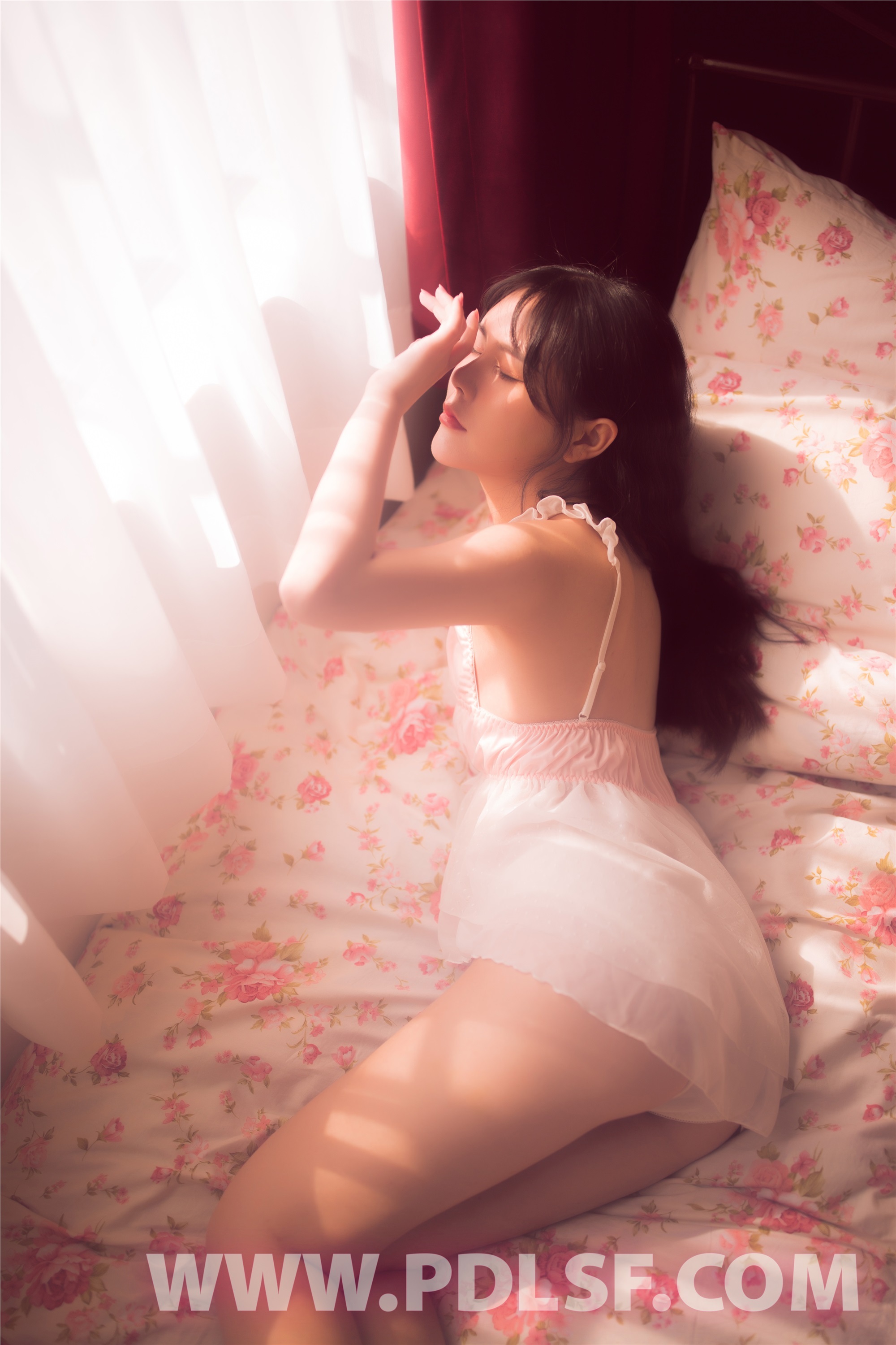 PDL潘多拉  2019.11.02 第481刊