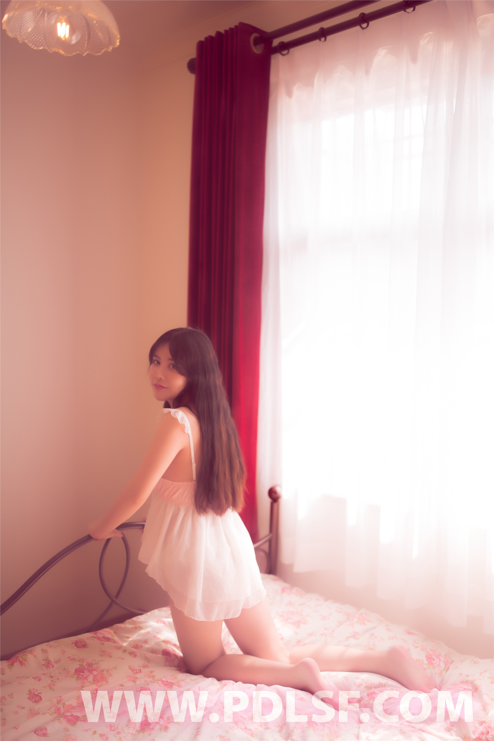 PDL潘多拉  2019.11.02 第481刊