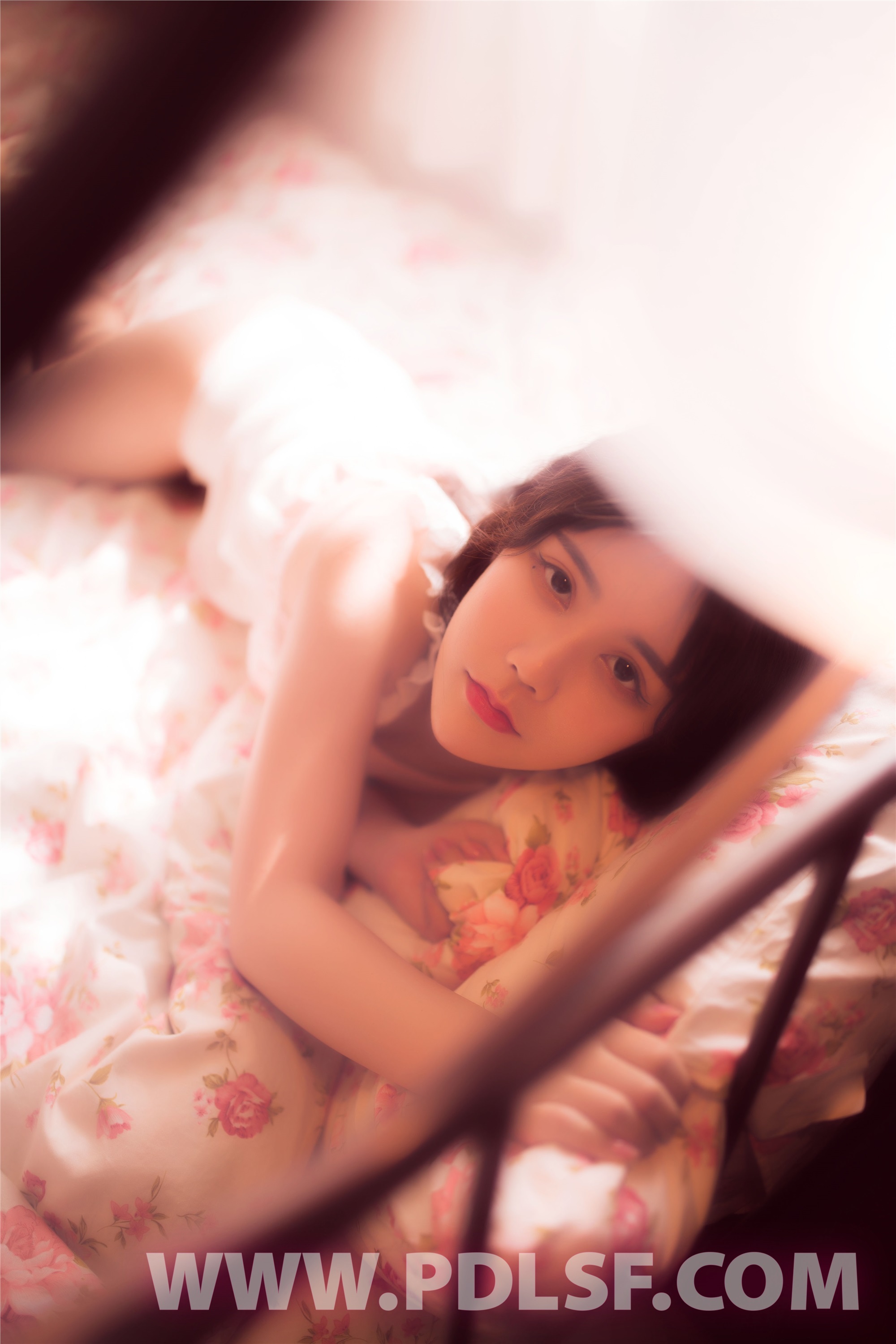 PDL潘多拉  2019.11.02 第481刊