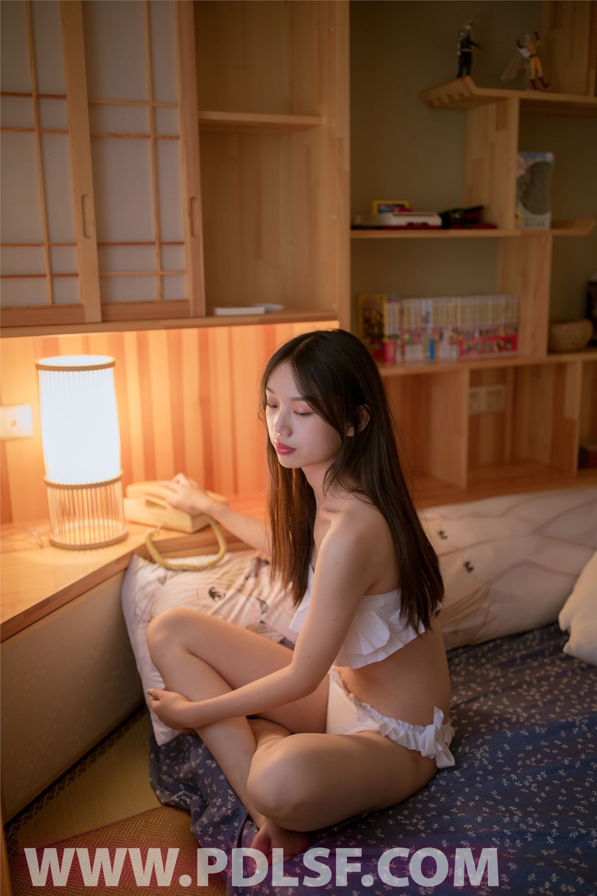 PDL潘多拉  2019.11.13 第485刊