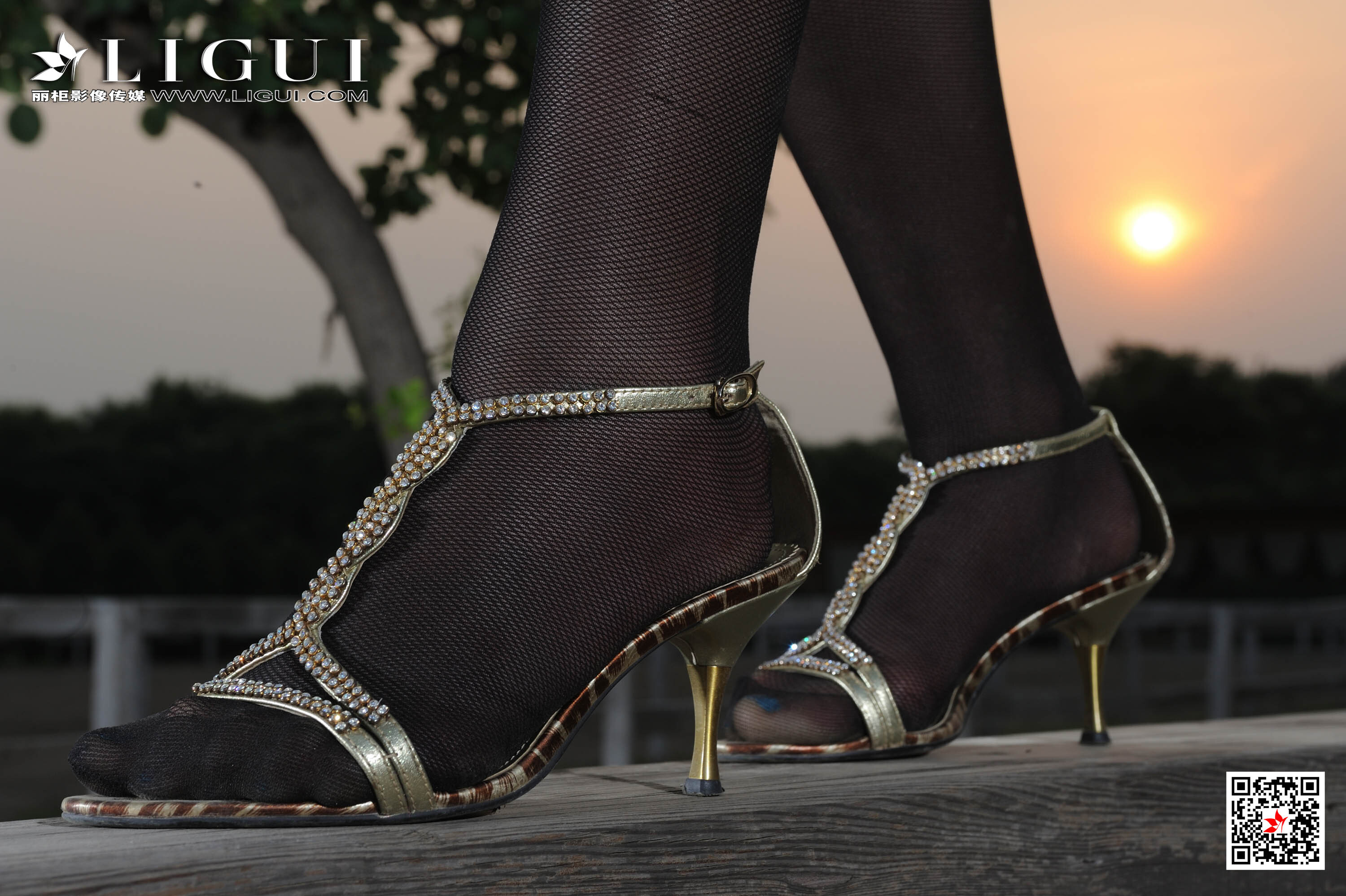 Ligui丽柜 2020.04.05 网络丽人 Model 孙跃