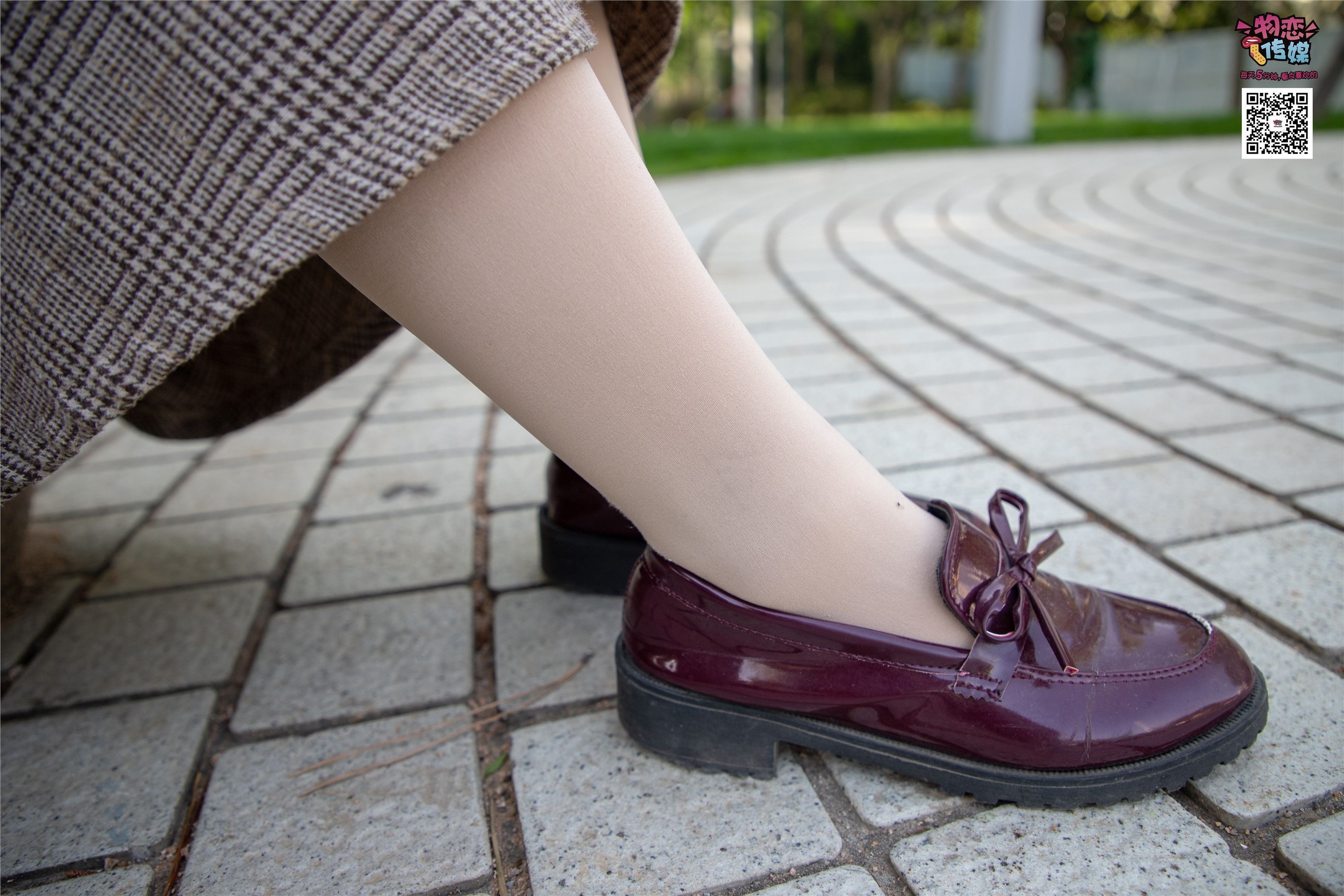 物恋传媒 No.015 书香气质女生，肉丝搭配白棉袜