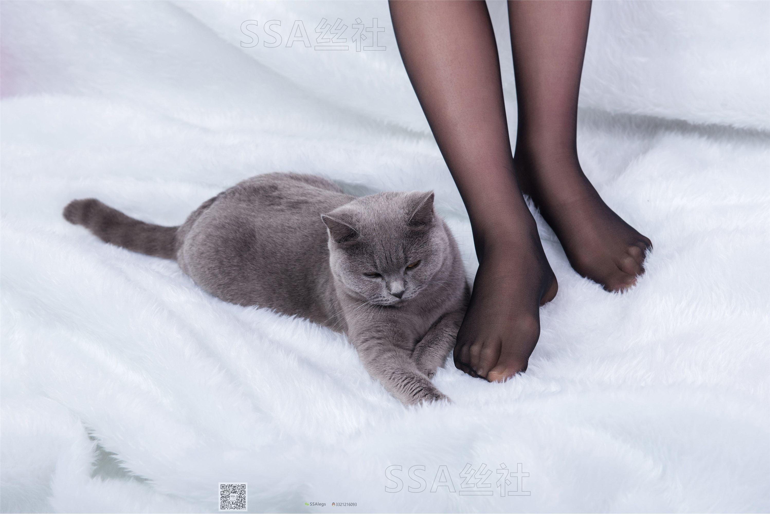 SSA丝社 069期 云云丰满黑丝旗袍的诱惑