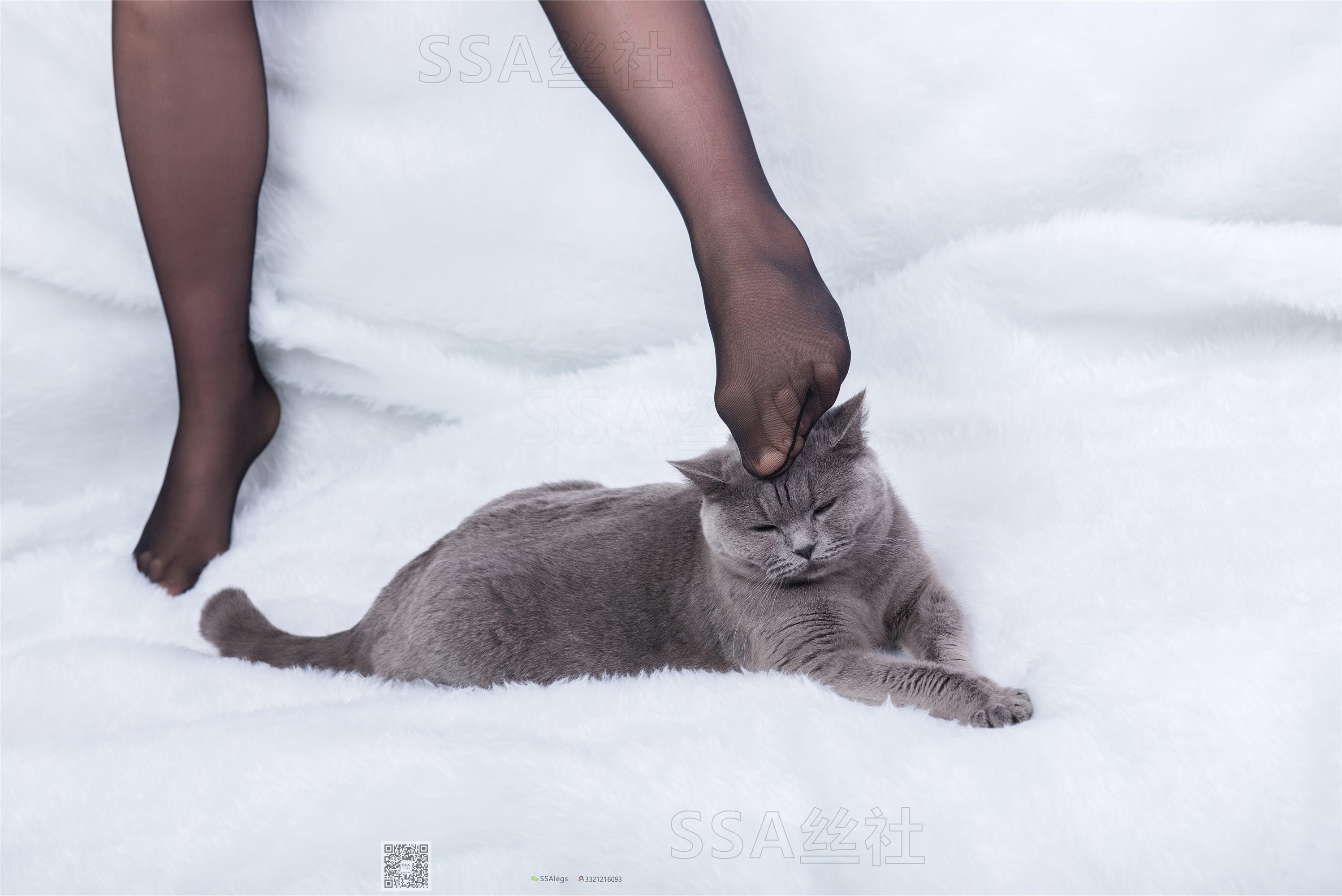 SSA丝社 069期 云云丰满黑丝旗袍的诱惑