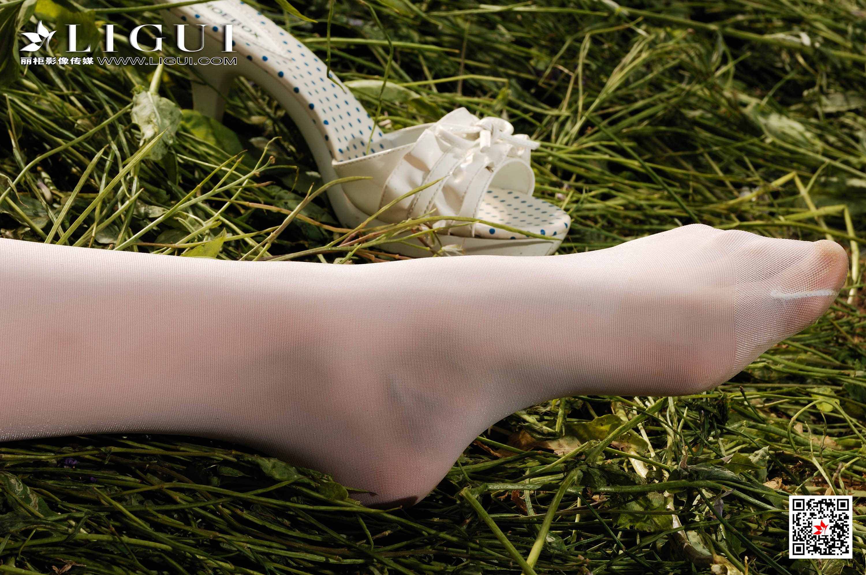 Ligui丽柜  2020.04.17 网络丽人 Model 凤娇