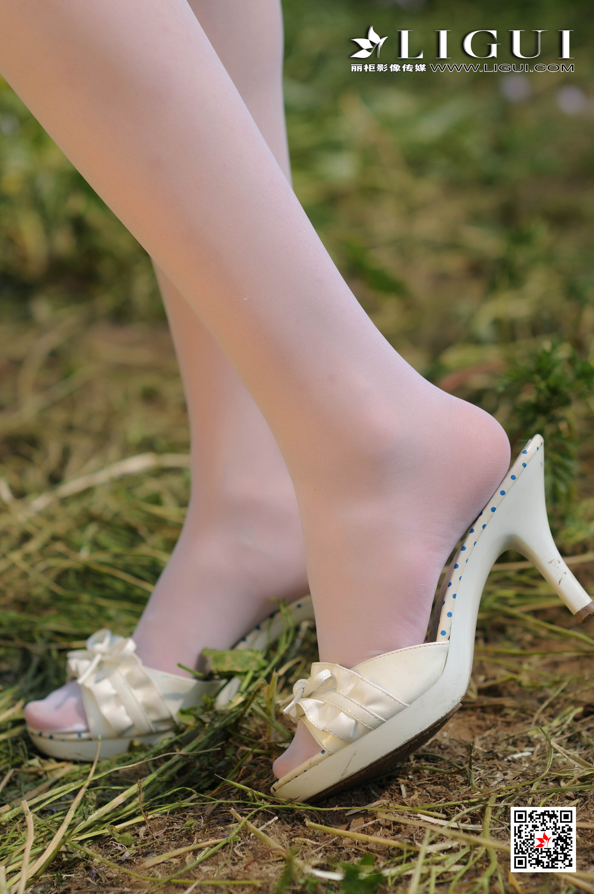 Ligui丽柜  2020.04.17 网络丽人 Model 凤娇