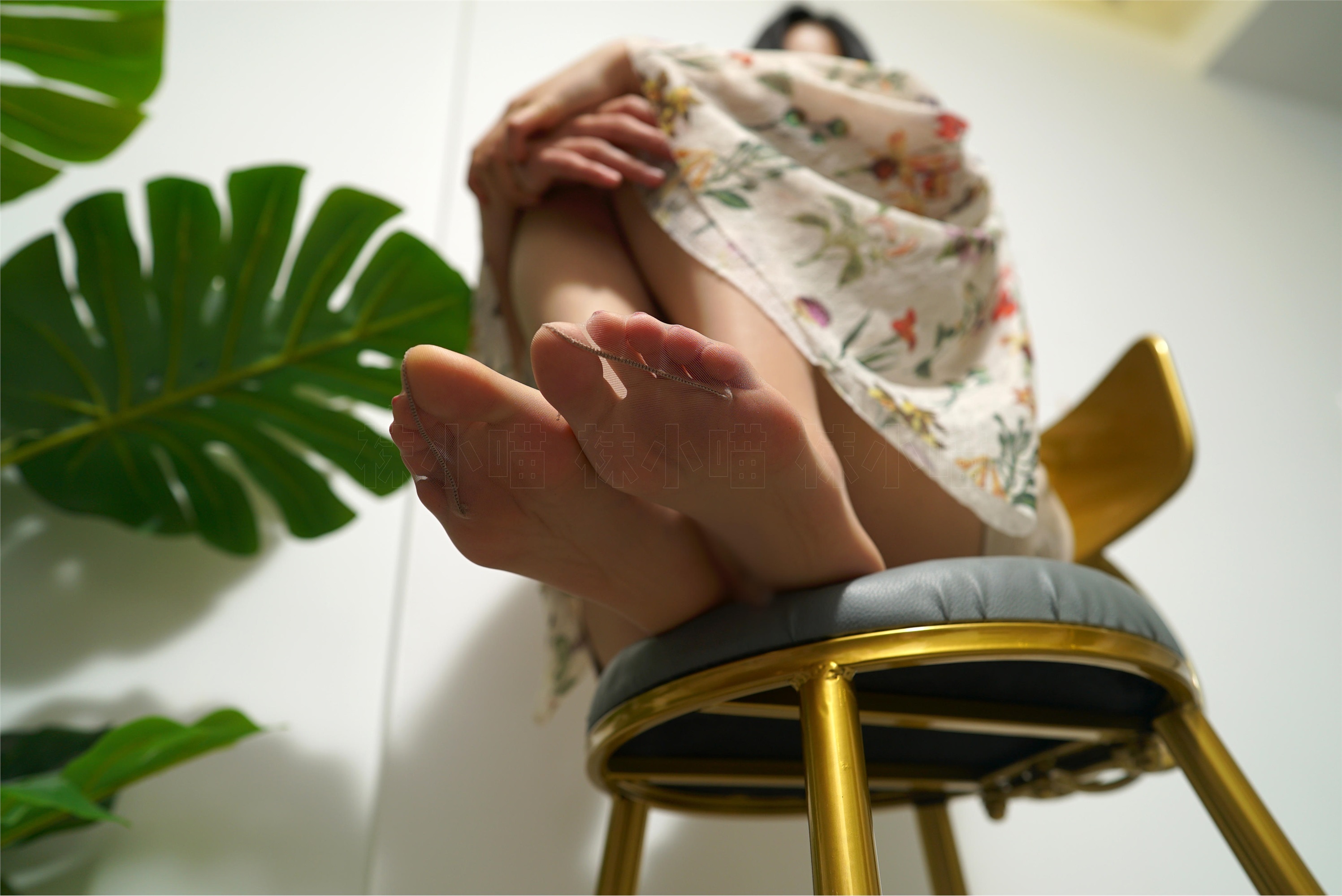 袜小喵 2020.03.11 KT152-花仙子