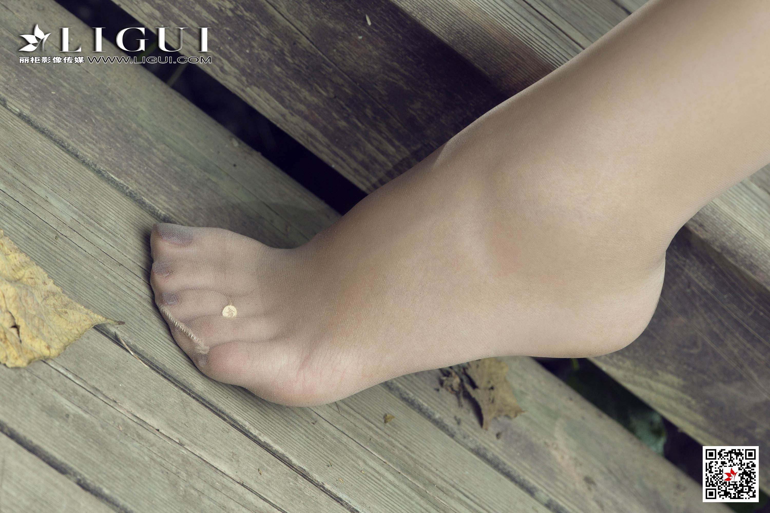 Ligui丽柜 2020.04.21 网络丽人 Model 费洛