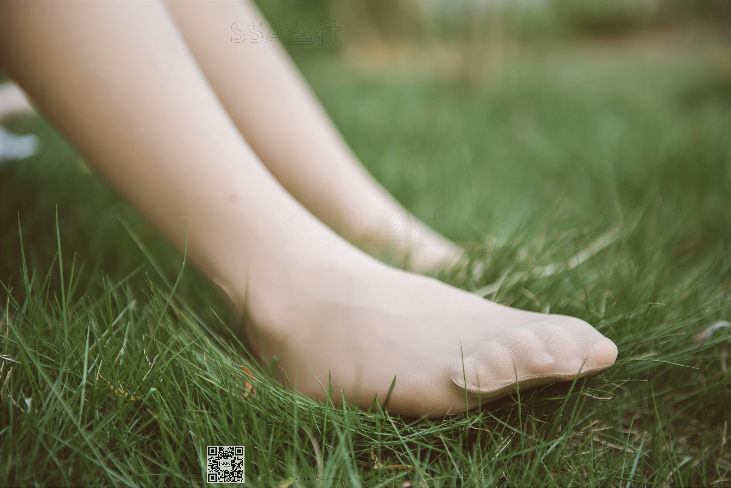 SSA丝社 111期 丽萍烈日下的清新旗袍