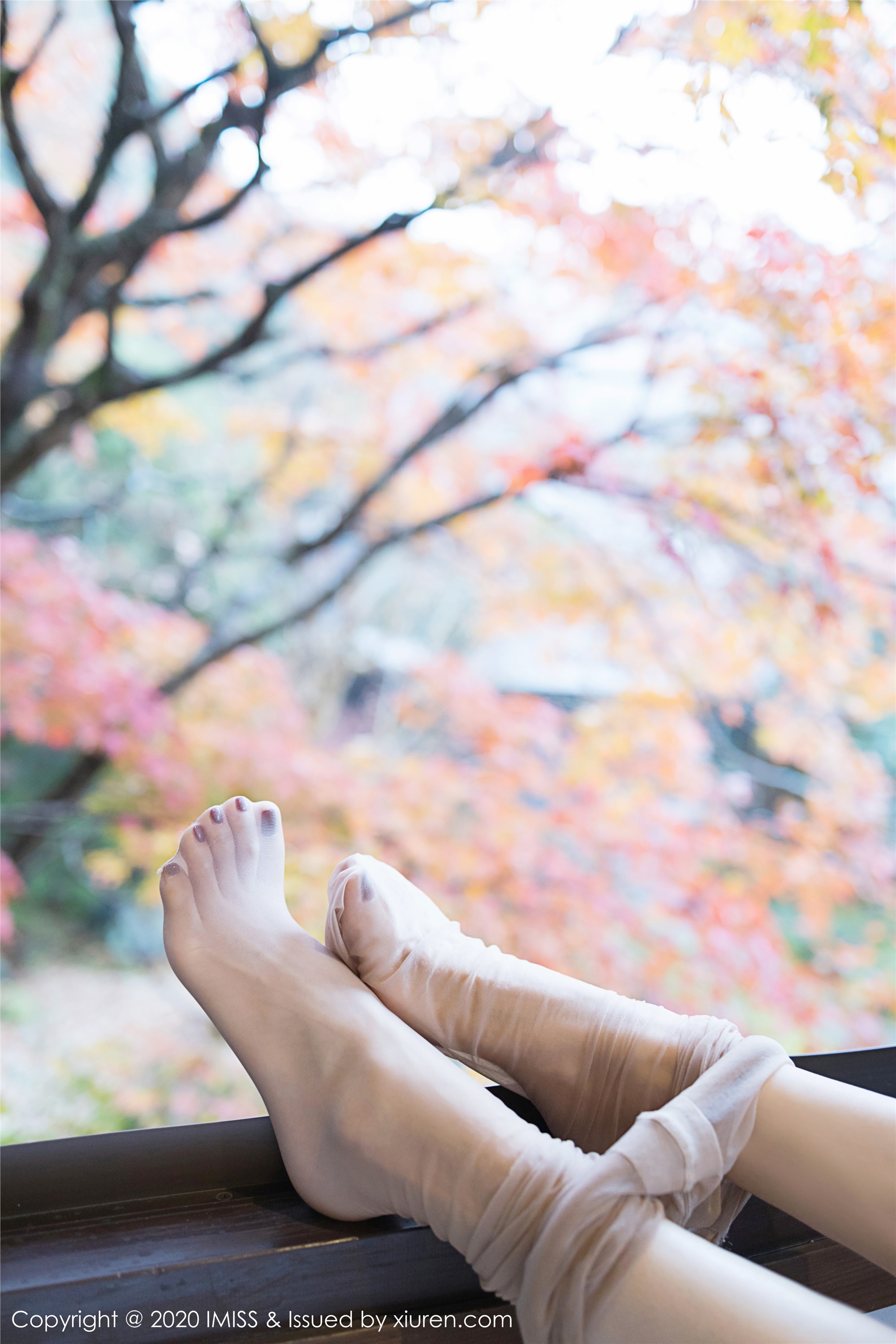 IMiss爱蜜社 2020.03.04 Vol.447 小狐狸Kathryn