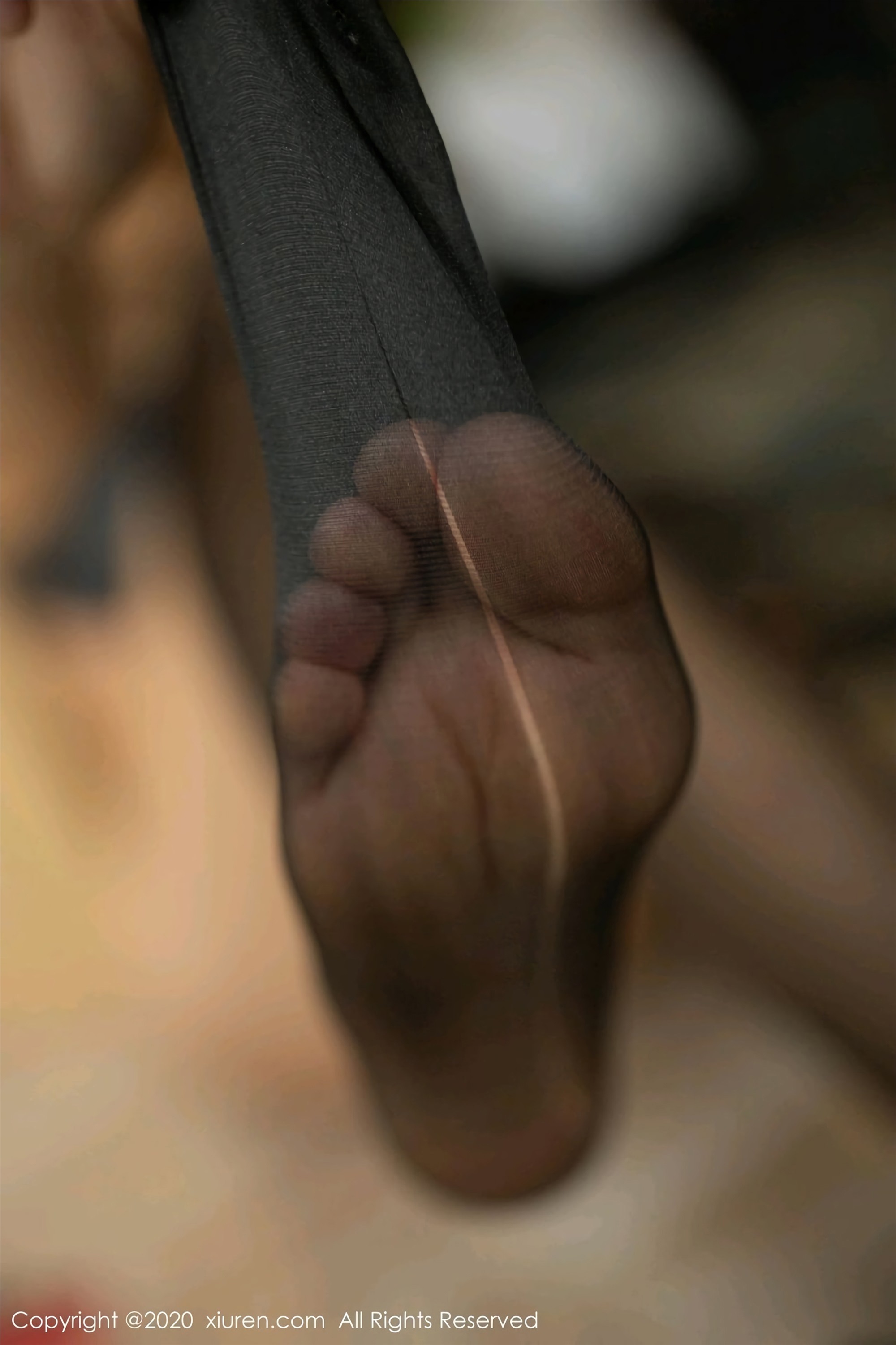 XIUREN秀人网 2020.03.19No2081 陆萱萱