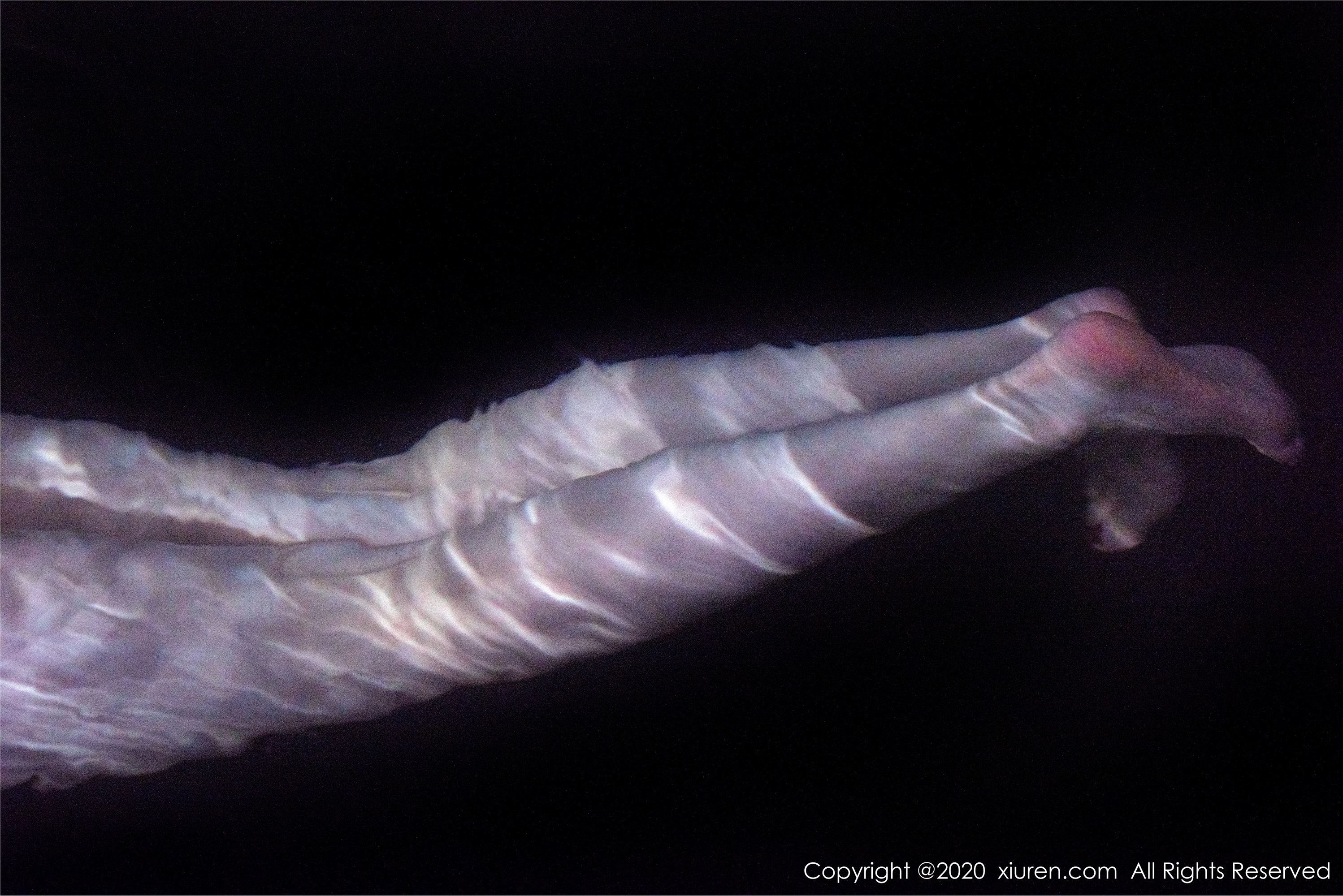 XIUREN秀人网 2020.03.31 No.2116 沈梦瑶