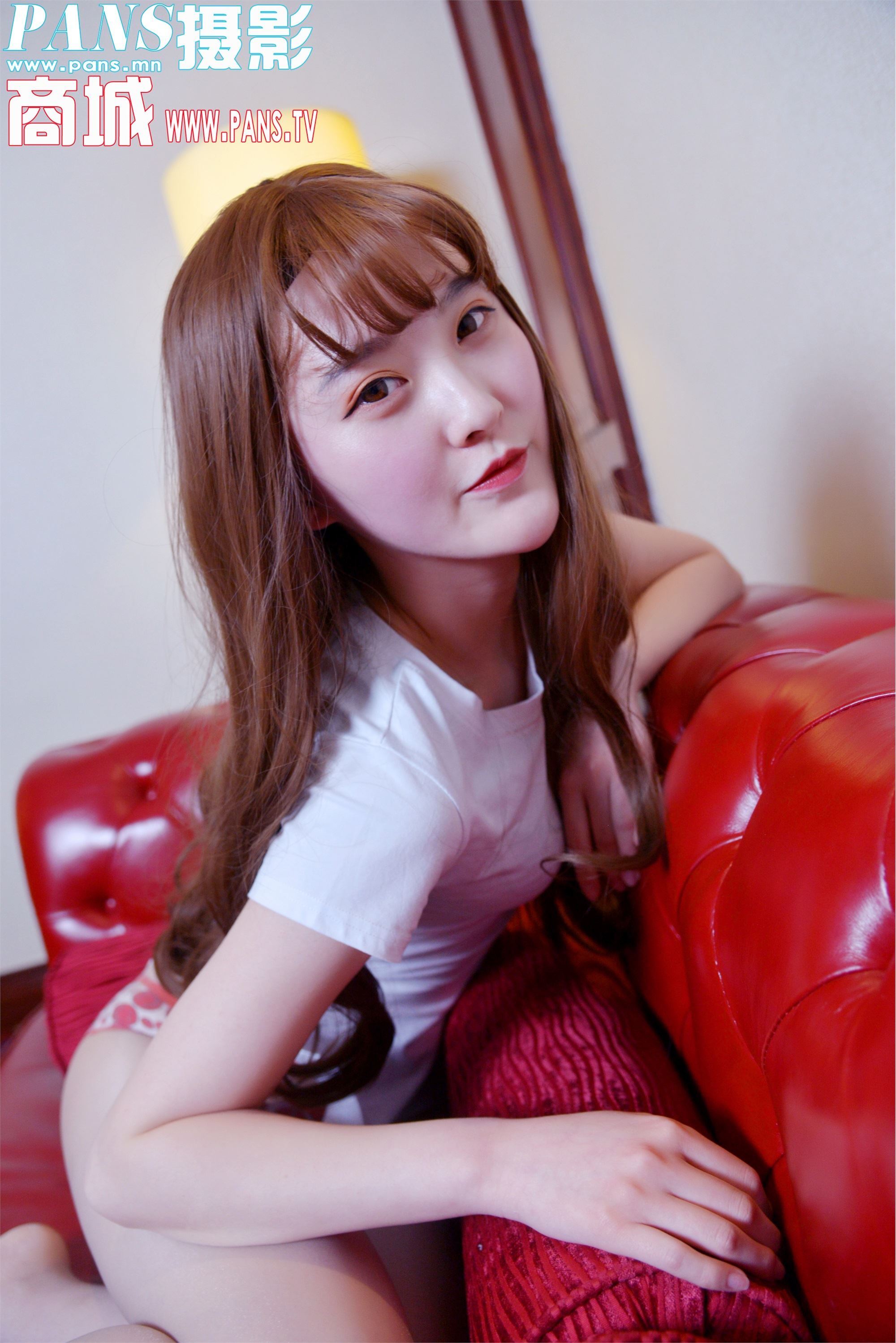 PANS写真 2019.04.20 NO.1131 狐狸