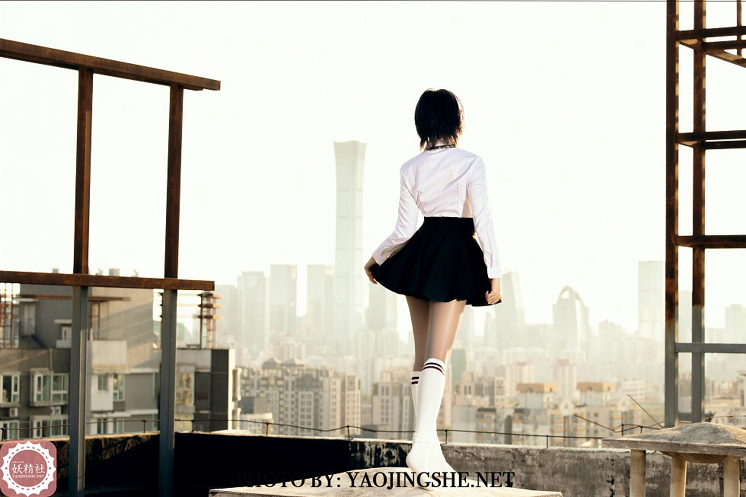 YJS妖精社 2020-01-15 Vol.008 菊花 谁困住了我的菊花