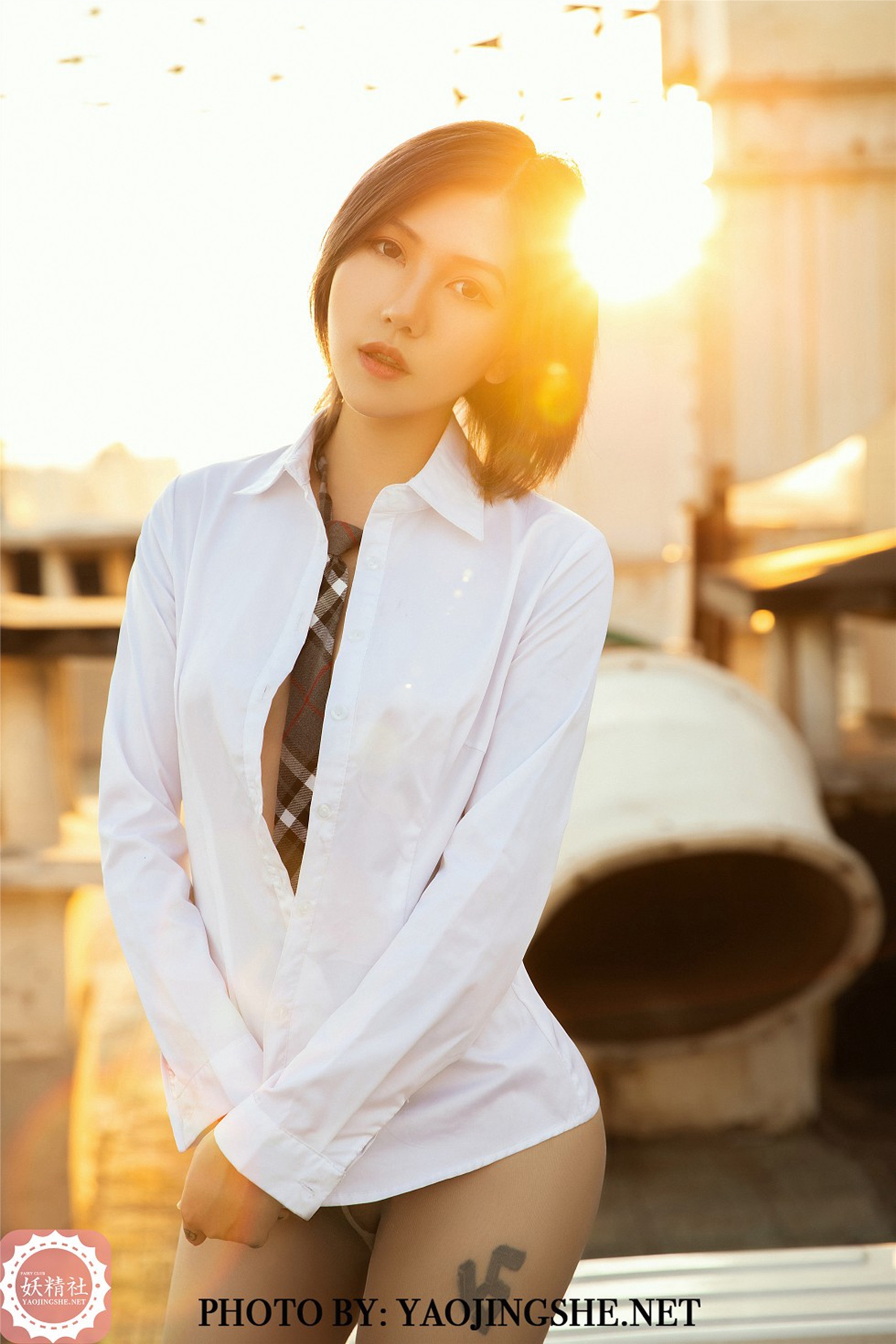 YJS妖精社 2020-01-15 Vol.008 菊花 谁困住了我的菊花