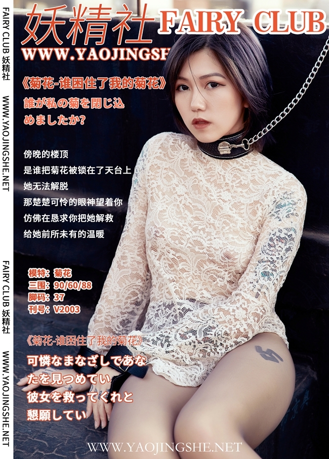 YJS妖精社 2020-01-15 Vol.008 菊花 谁困住了我的菊花