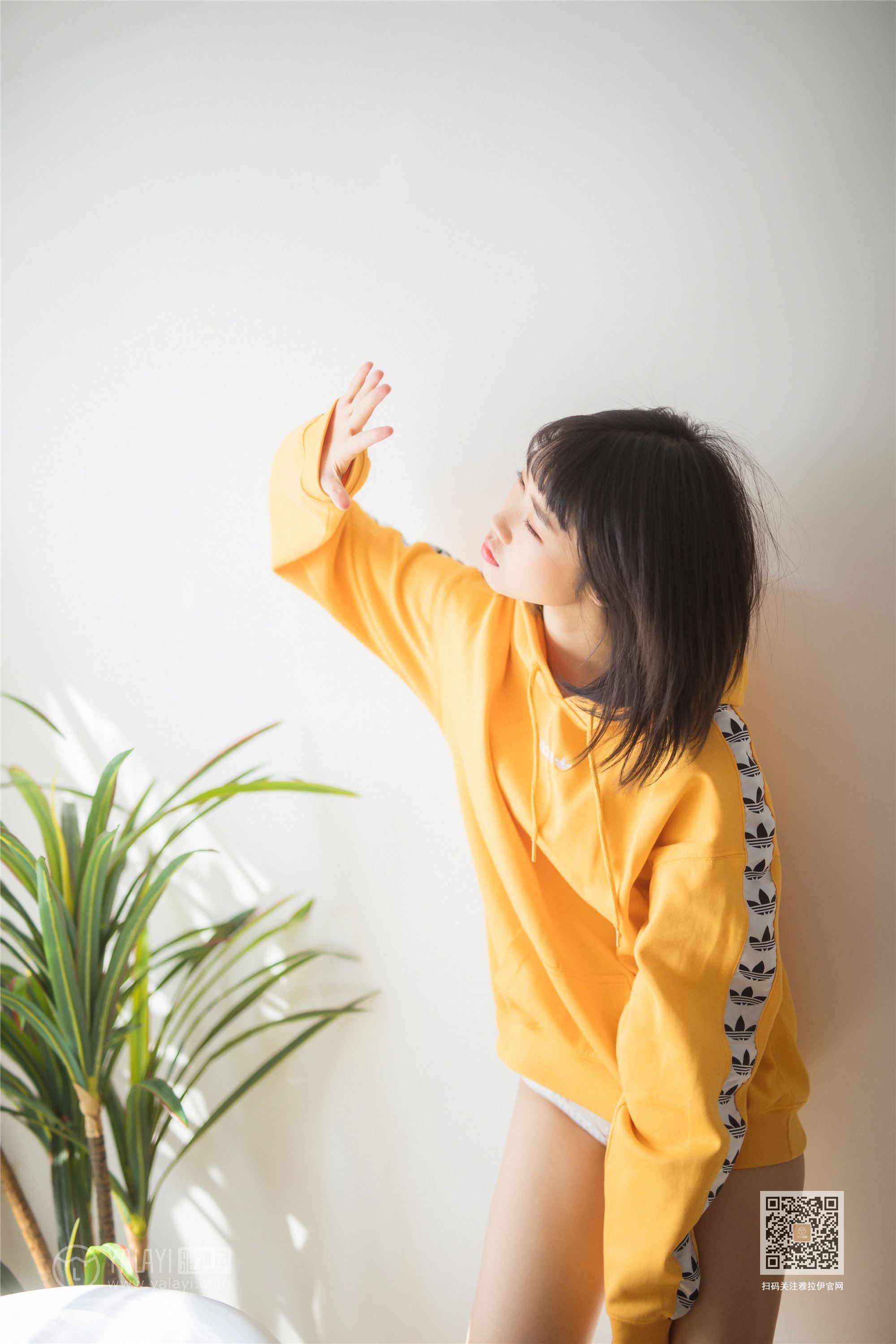 YALAYI雅拉伊  2020.01.22 Y527 粉粉《缤纷时光》