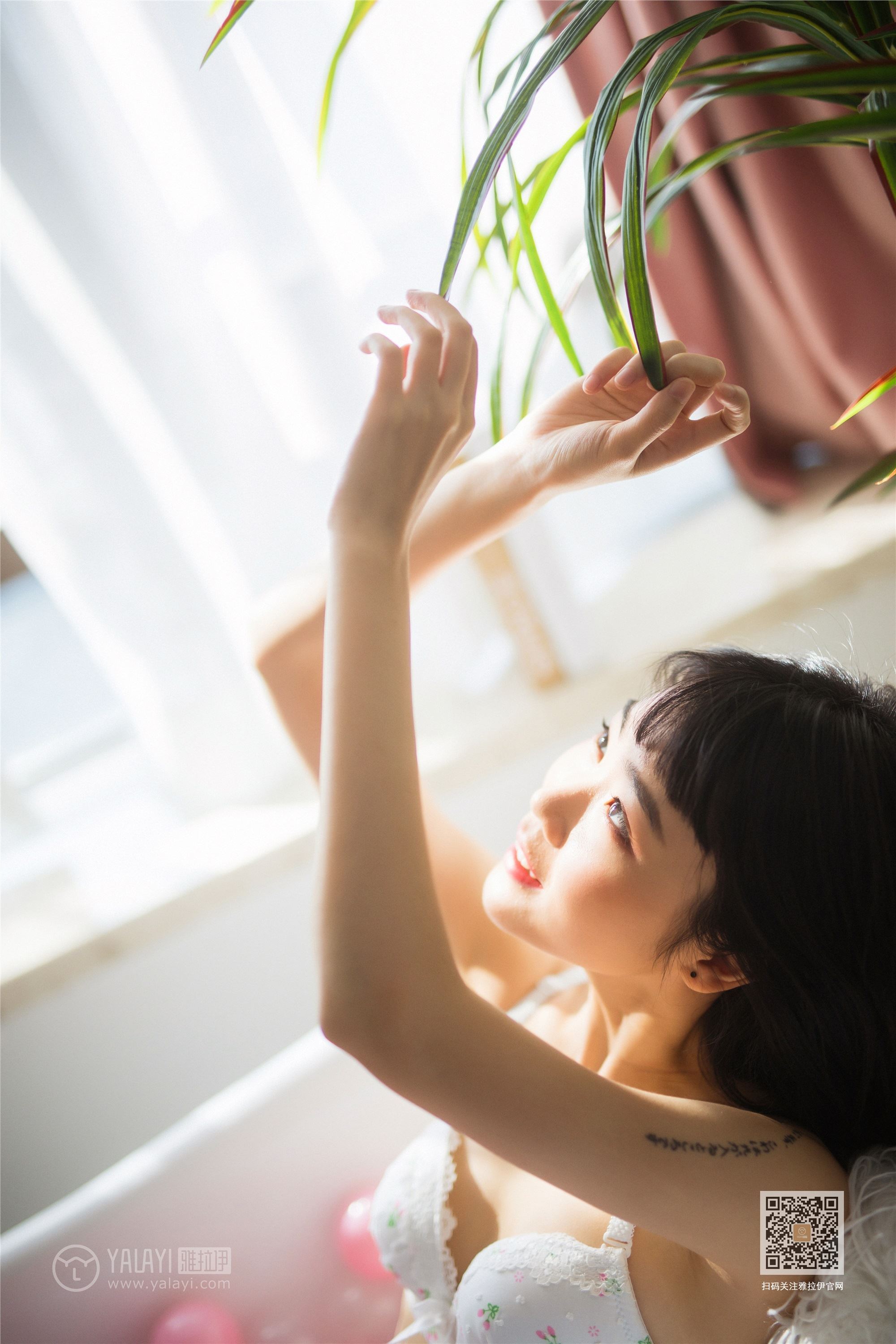 YALAYI雅拉伊  2020.01.22 Y527 粉粉《缤纷时光》