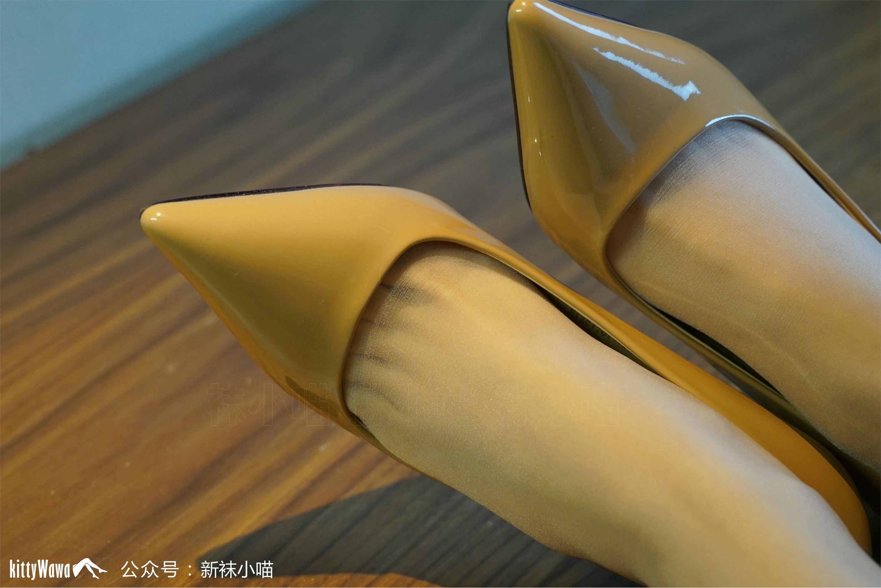 袜小喵  KT084《小仙女的雪纺衫》