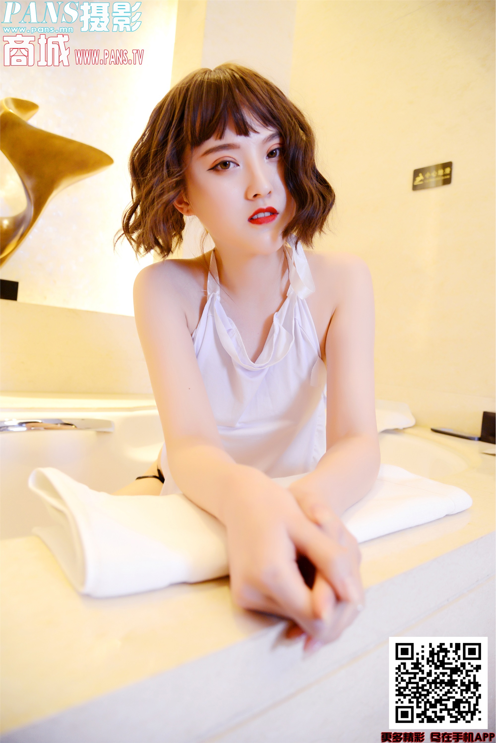 PANS写真 2019.11.26 NO.1241 狐狸