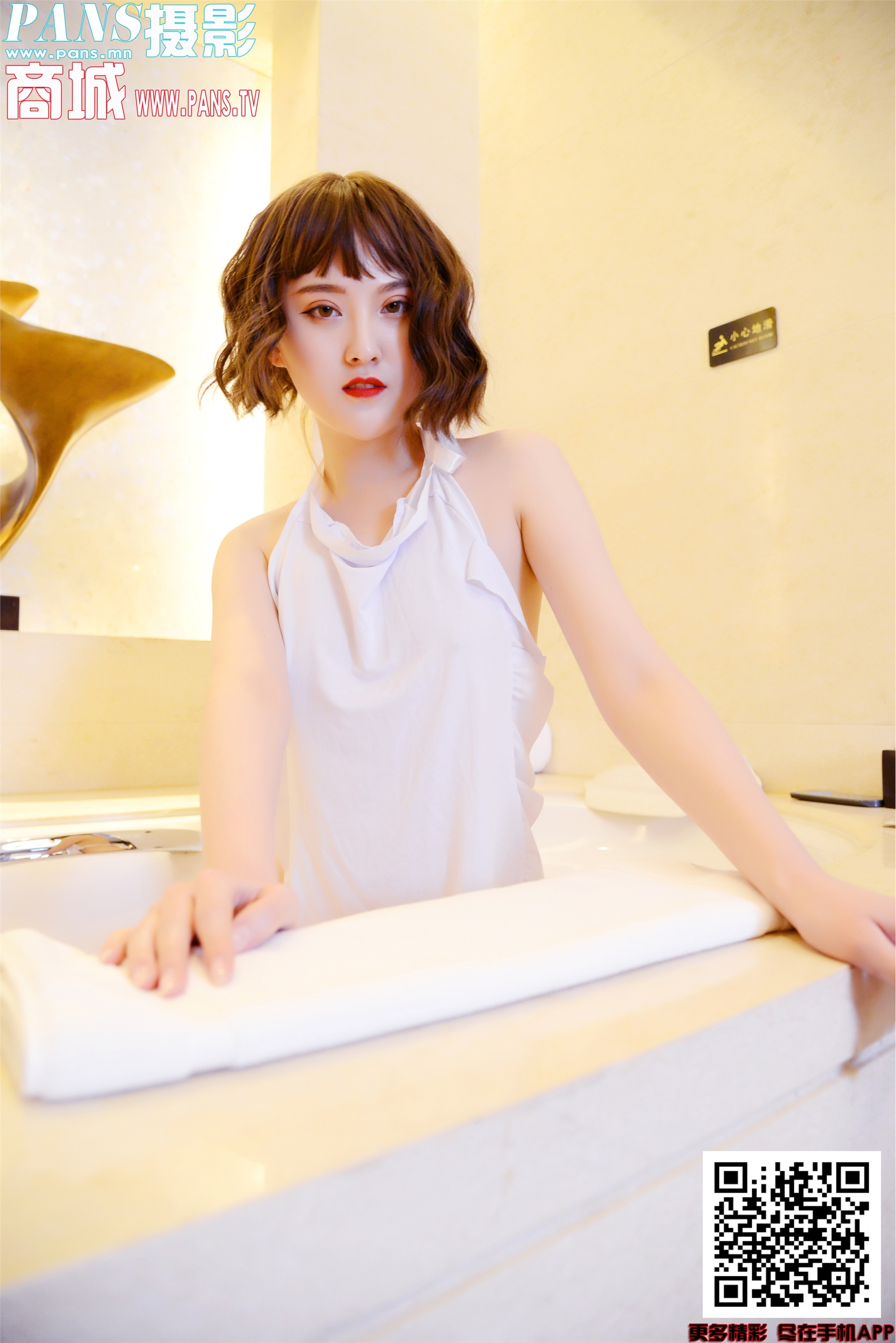 PANS写真 2019.11.26 NO.1241 狐狸