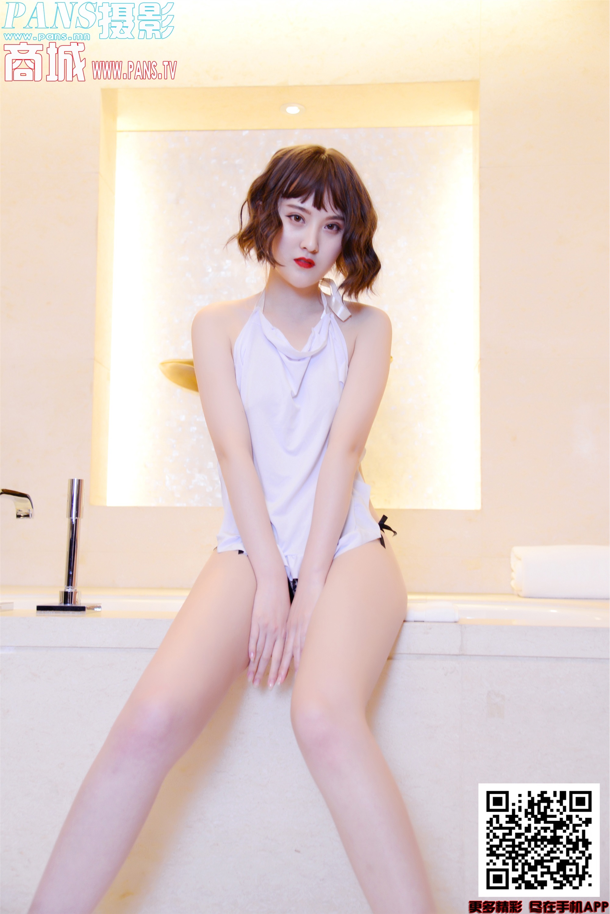 PANS写真 2019.11.26 NO.1241 狐狸