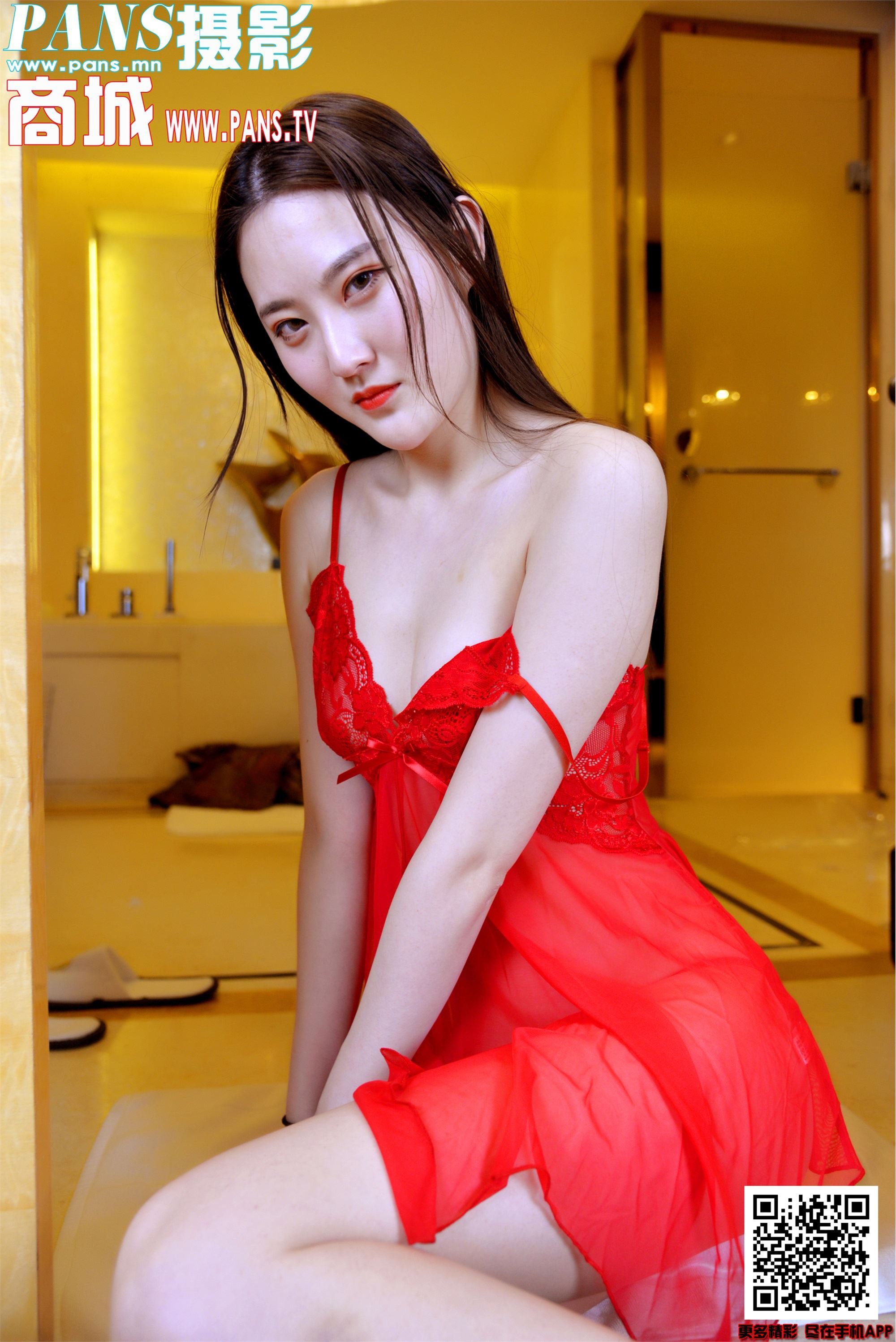 PANS写真 2020.01.03 NO.1260 狐狸