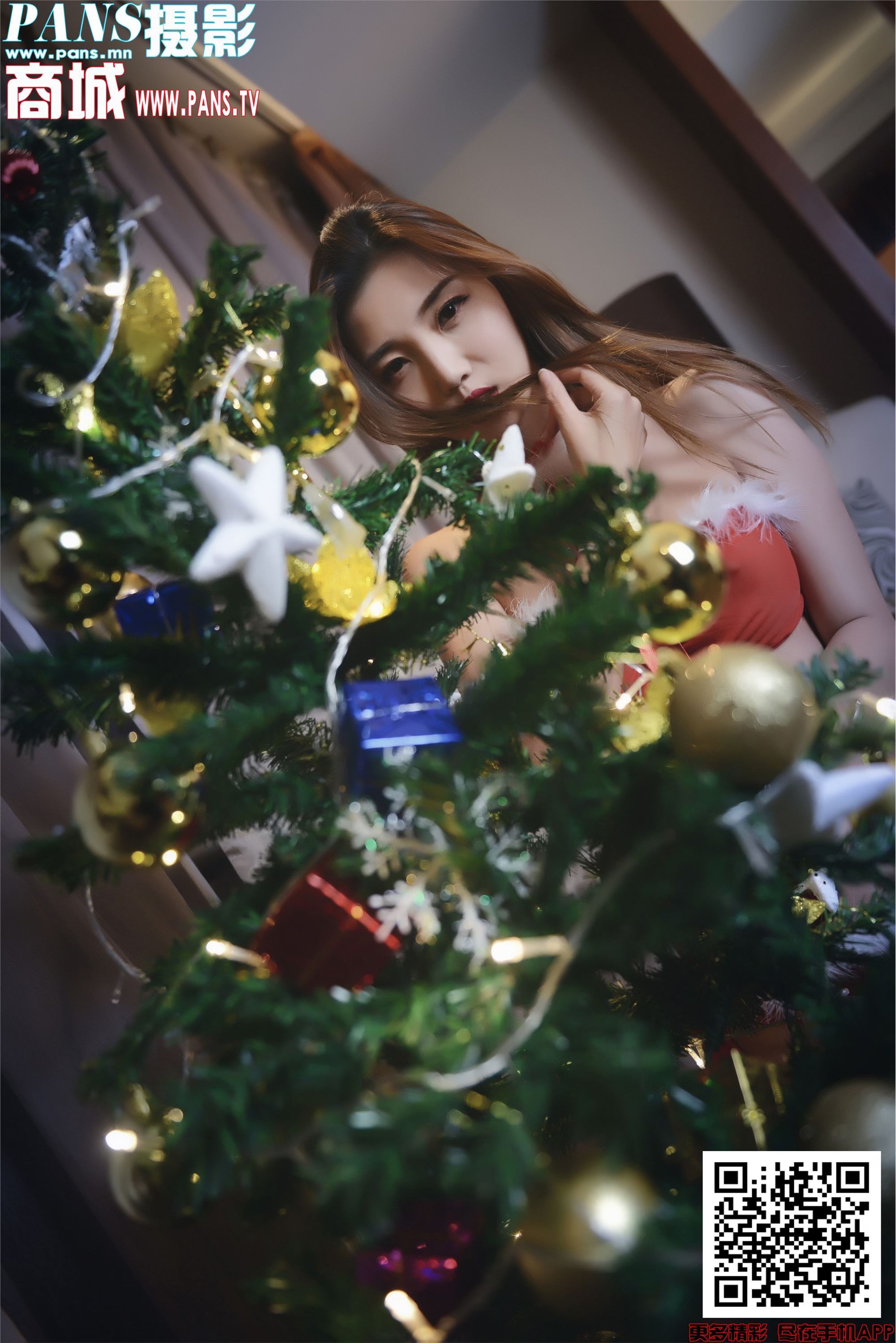 PANS写真 2019.12.24 NO.1255 小青