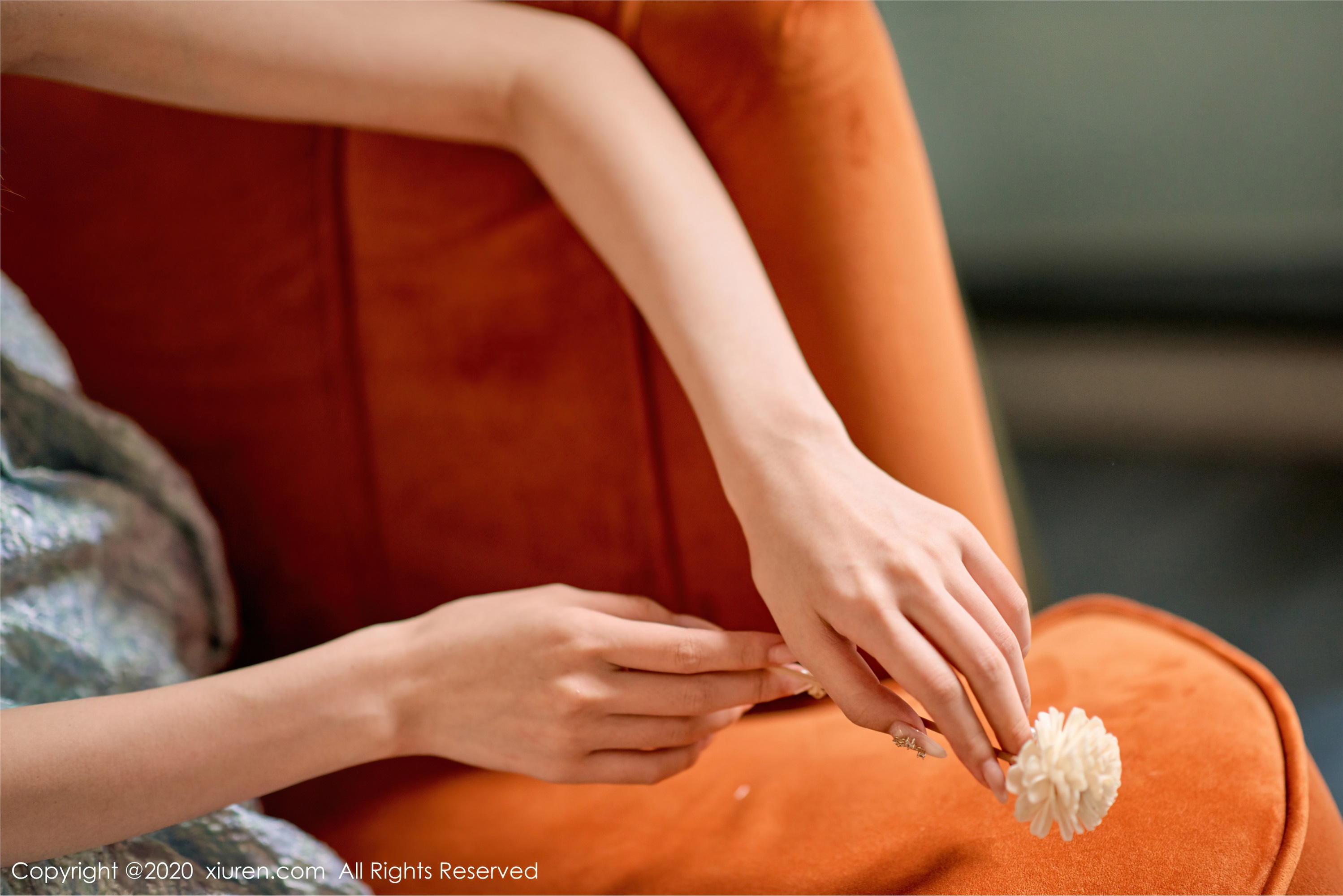 秀人网美媛馆 2020-09-07 Vol.2533 尤其