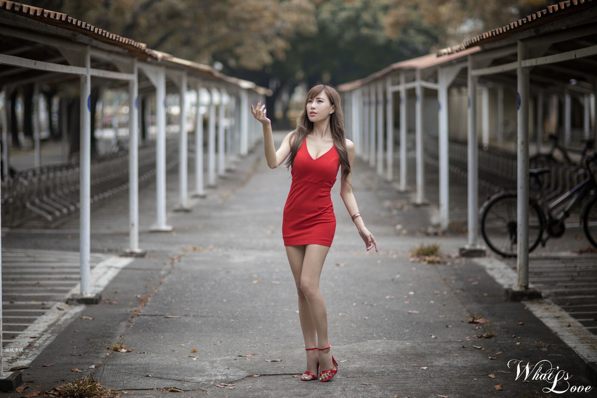 [Beautyleg番外篇]2018黄艾比合集打包