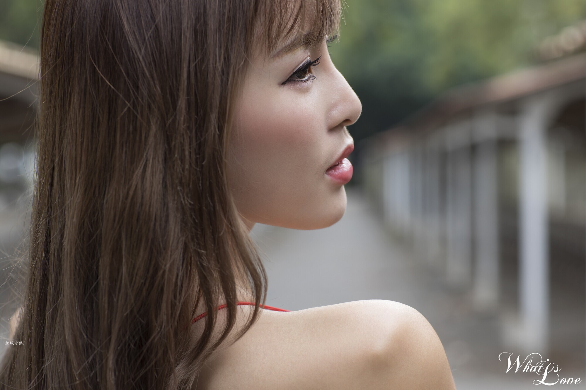 [Beautyleg番外篇]2018黄艾比合集打包