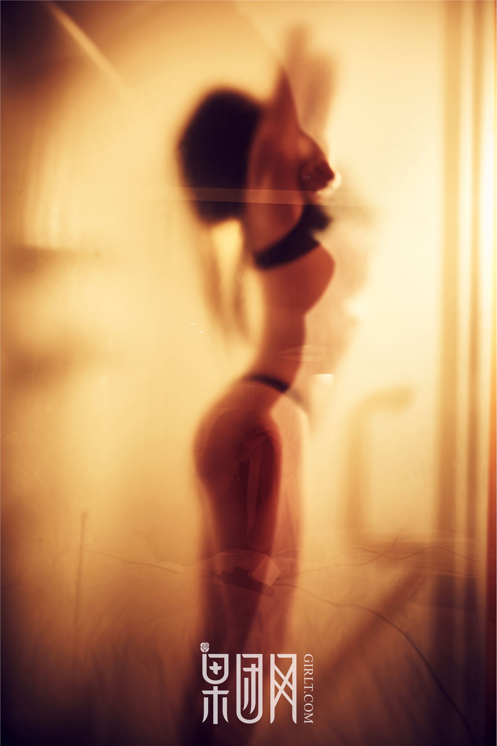 [Girlt果团网]2018.02.10 No.126 何嘉颖