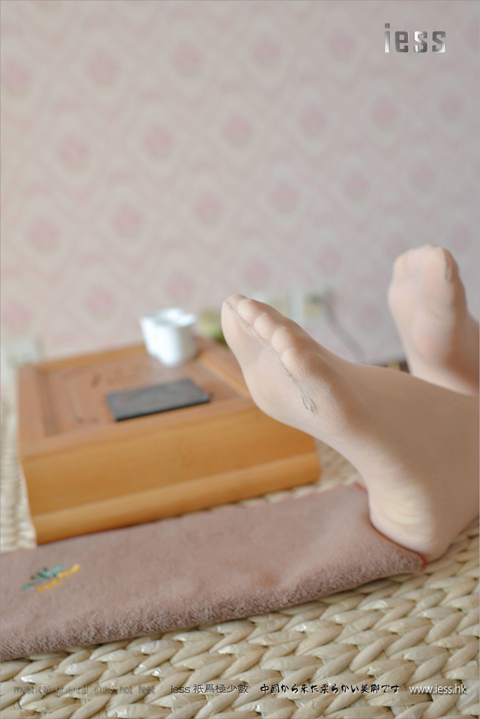 [IESS异思趣向] 2017.05.04 丝足便当113：《我的学姐叫荡漾-前传》馨月