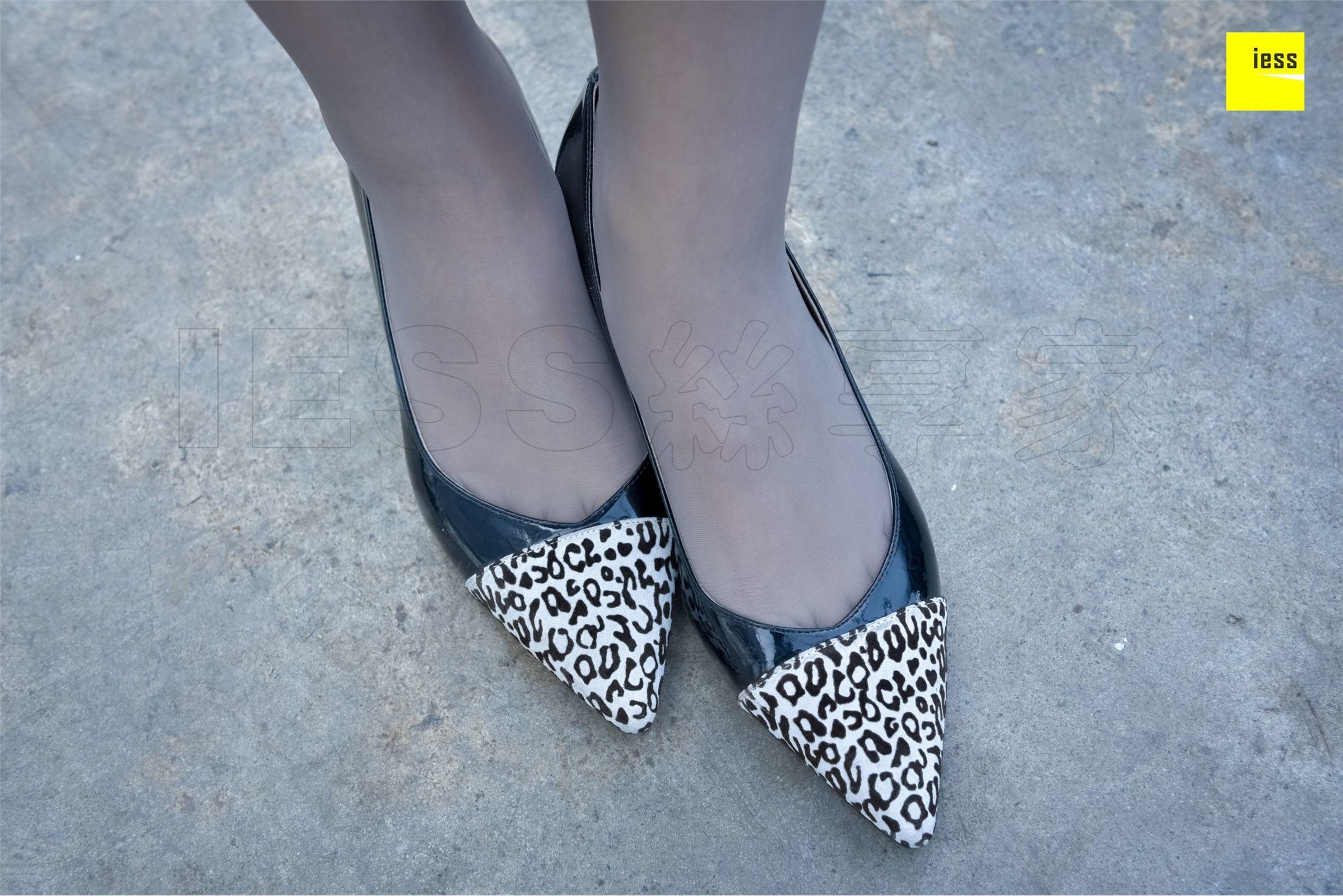 [IESS异思趣向]2018-01-26 丝享家156：佳桢《丰满微肉腿》