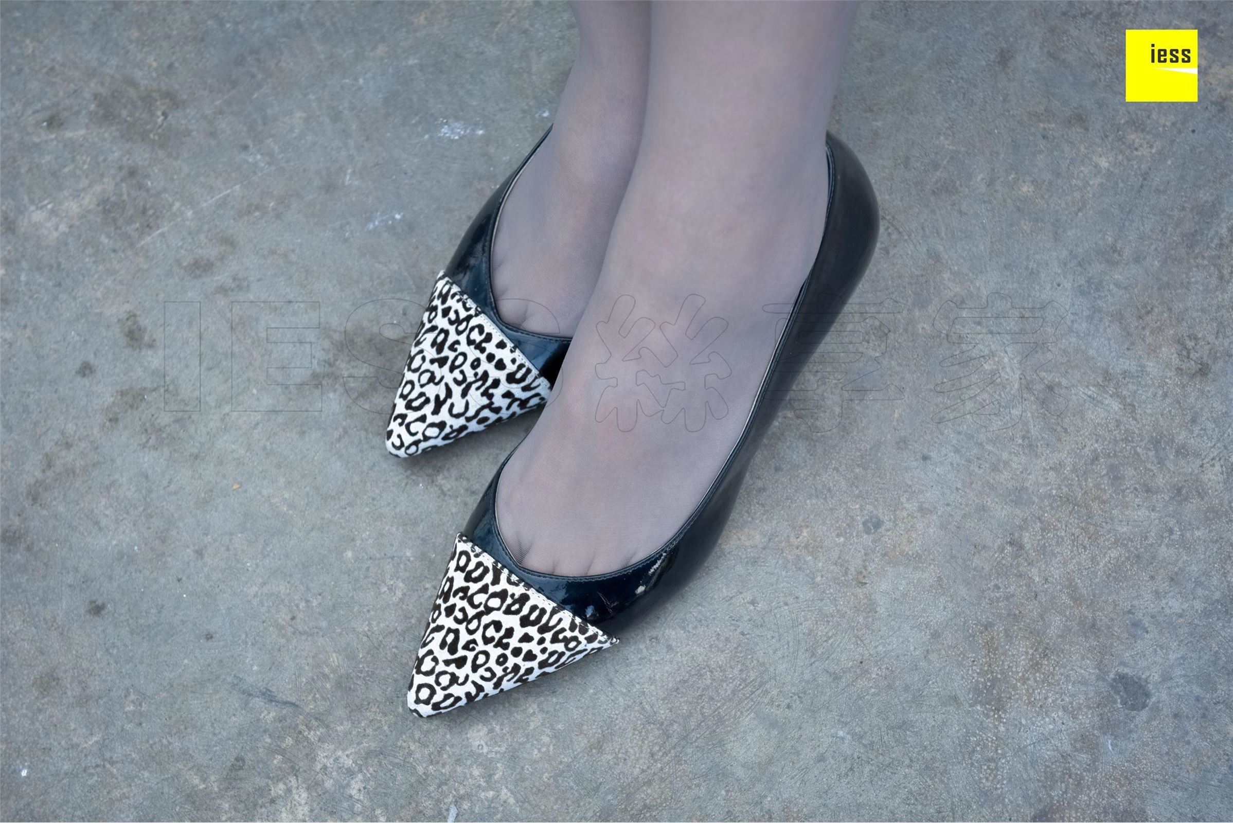 [IESS异思趣向]2018-01-26 丝享家156：佳桢《丰满微肉腿》