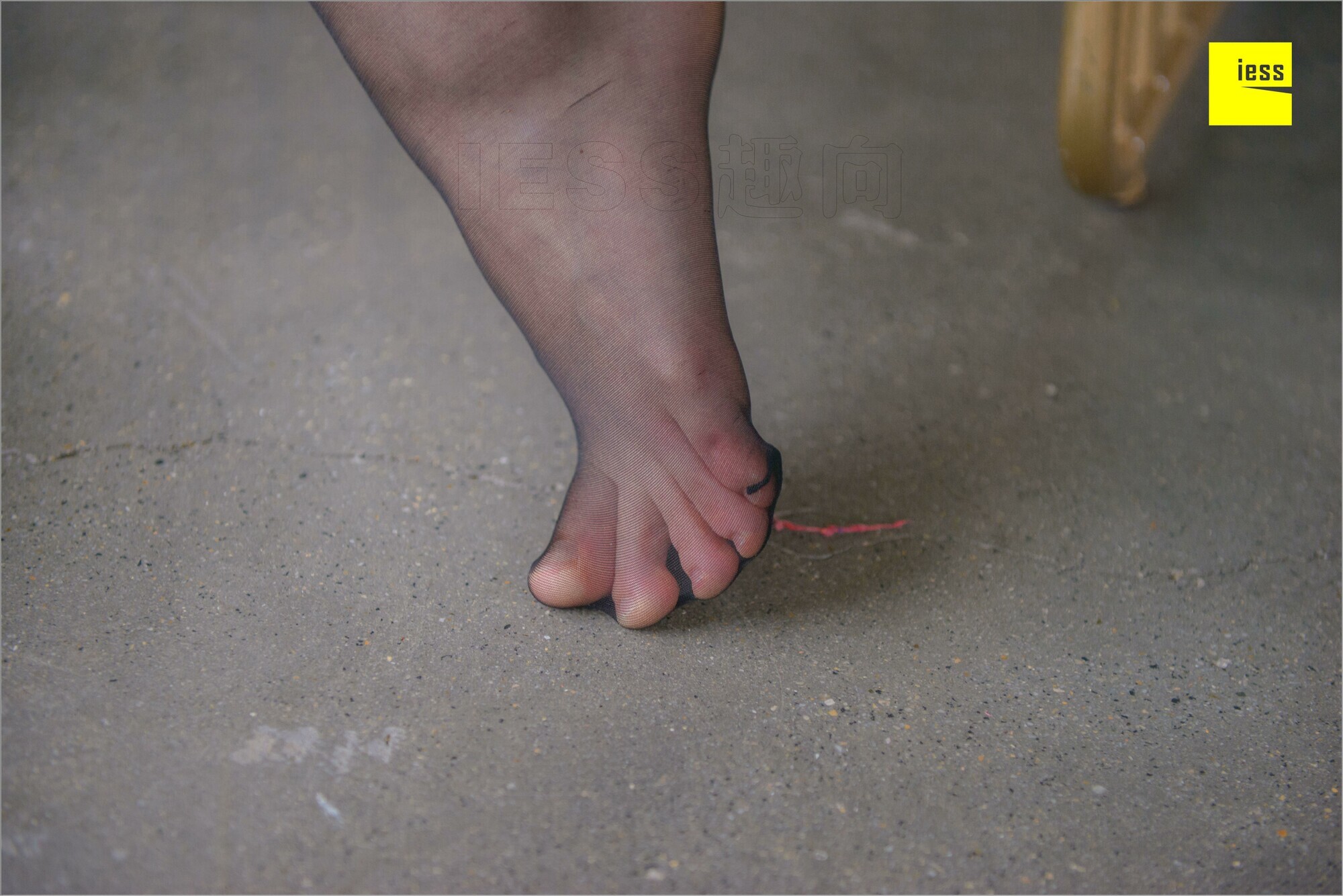 [IESS异思趣向]2018.08.25 MF.003 捷大