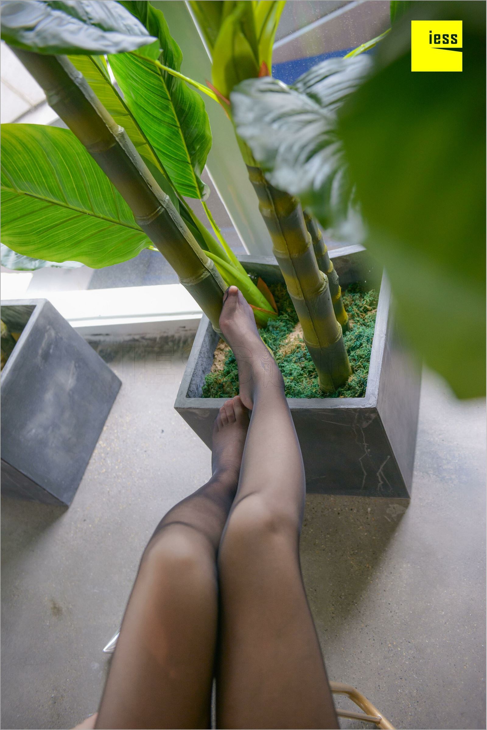 [IESS异思趣向]2018.08.25 MF.003 捷大