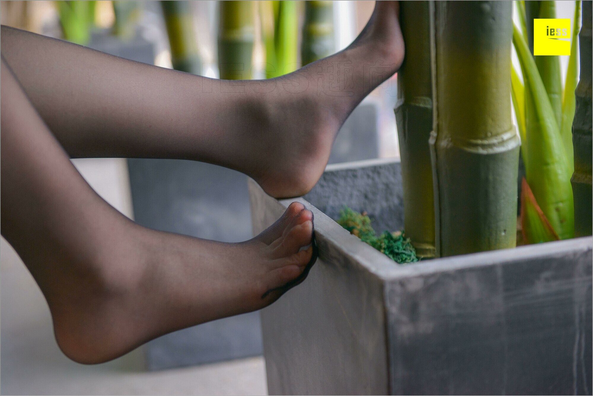 [IESS异思趣向]2018.08.25 MF.003 捷大