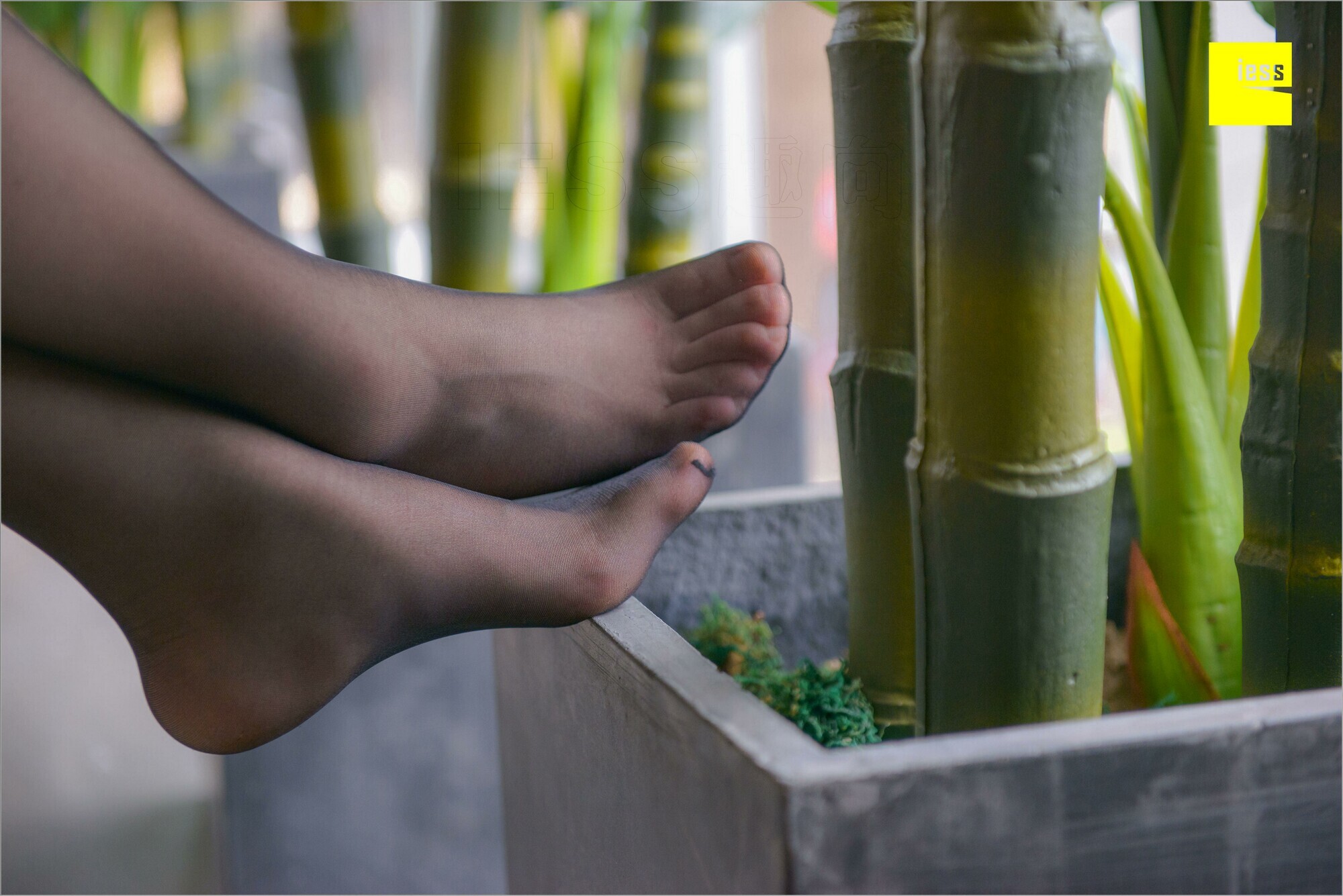 [IESS异思趣向]2018.08.25 MF.003 捷大