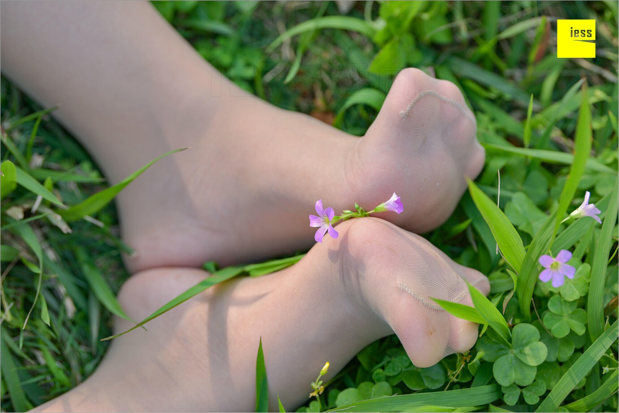 [IESS异思趣向]2018.09.03 MF.004 馨月