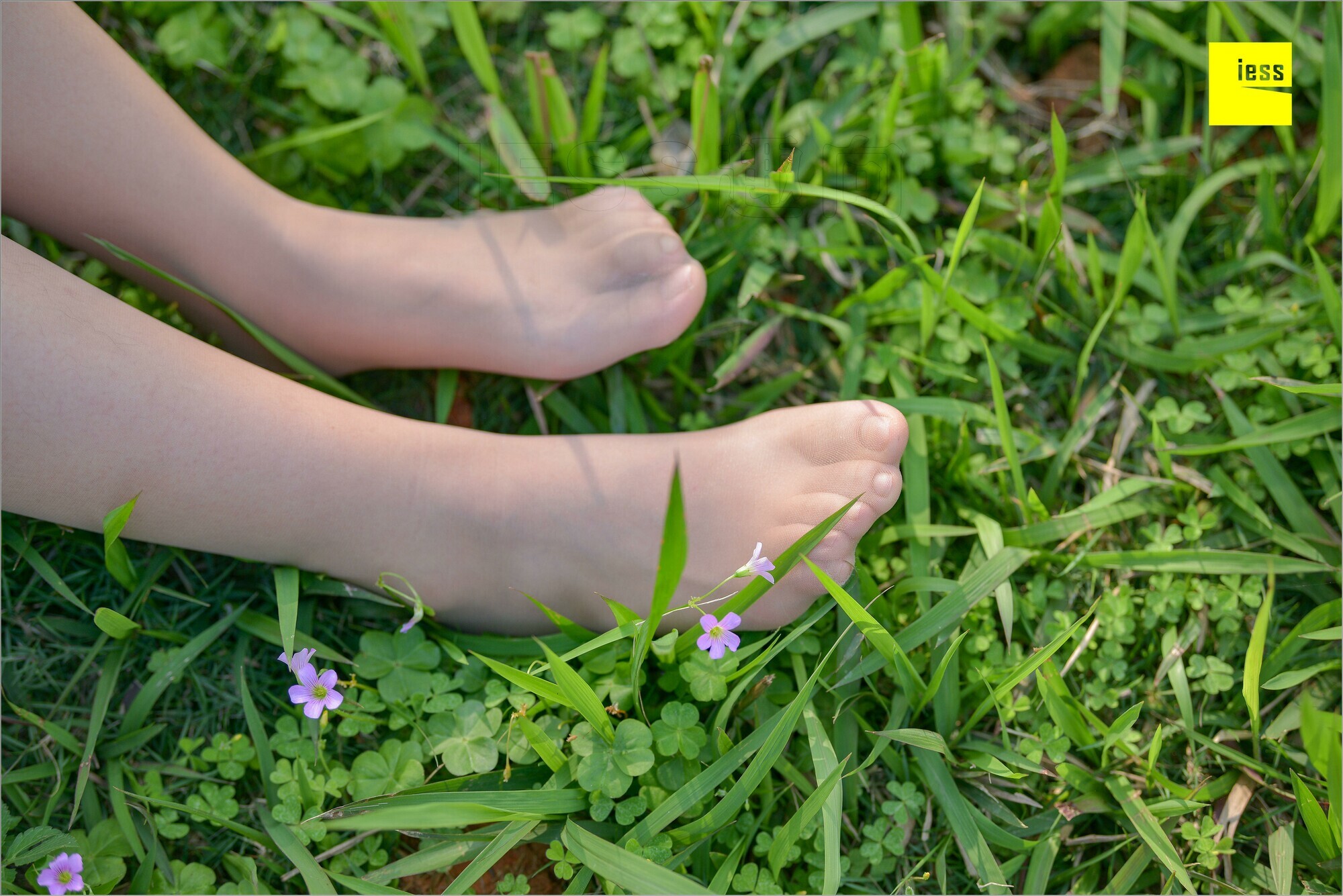 [IESS异思趣向]2018.09.03 MF.004 馨月